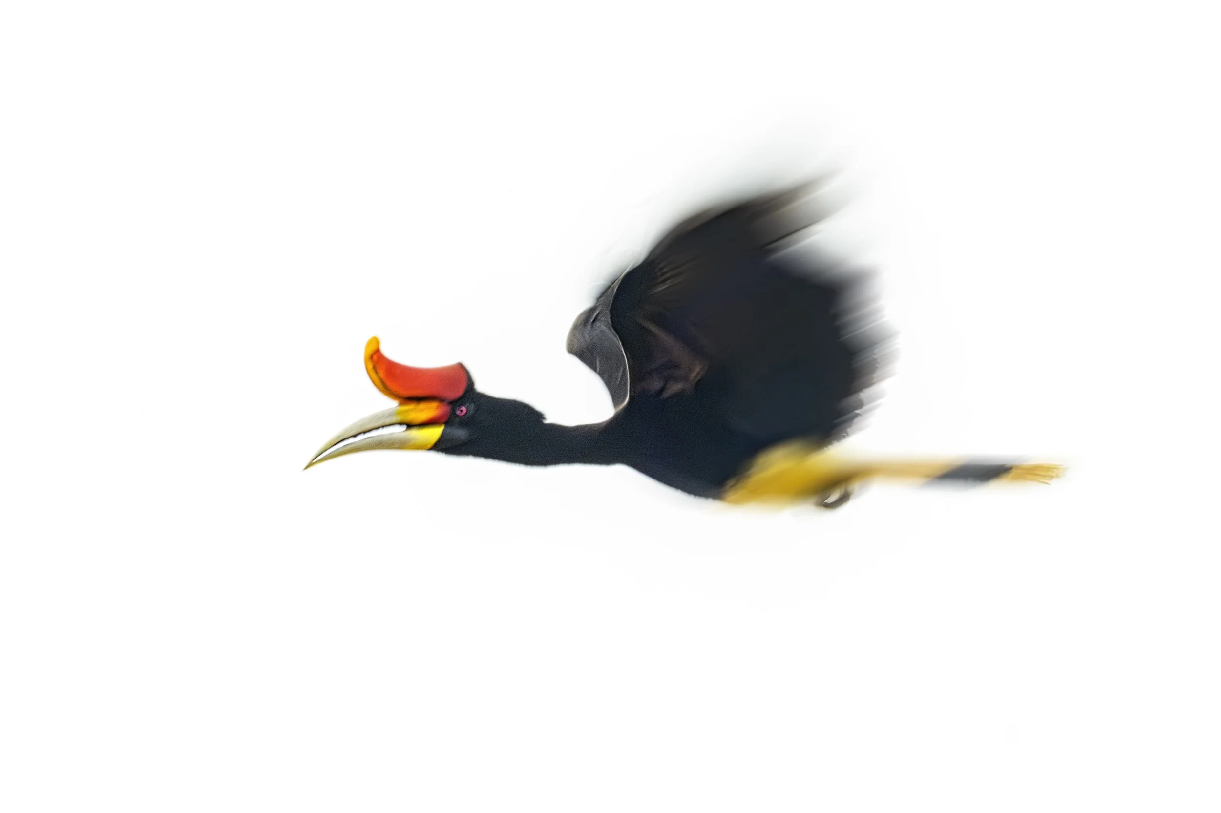 _1765006.jpg
