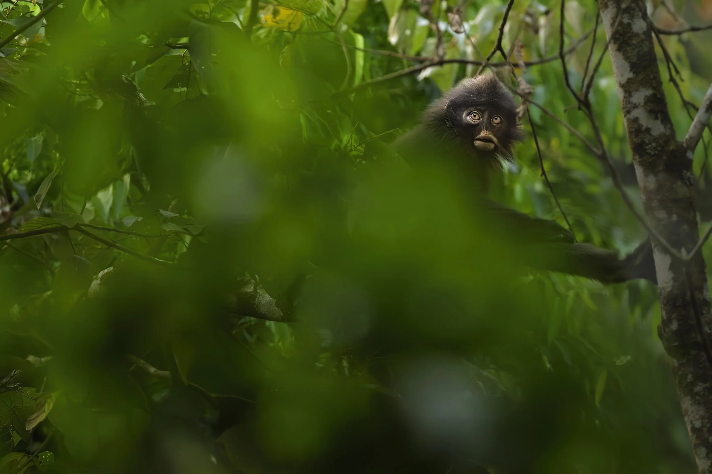 _1267227 (kopia).jpg