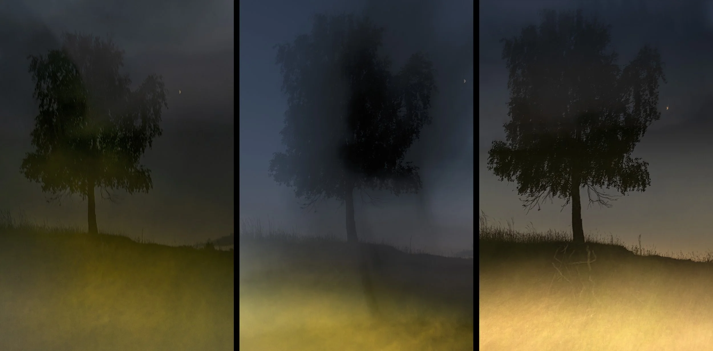 Triptyk 3 .jpg