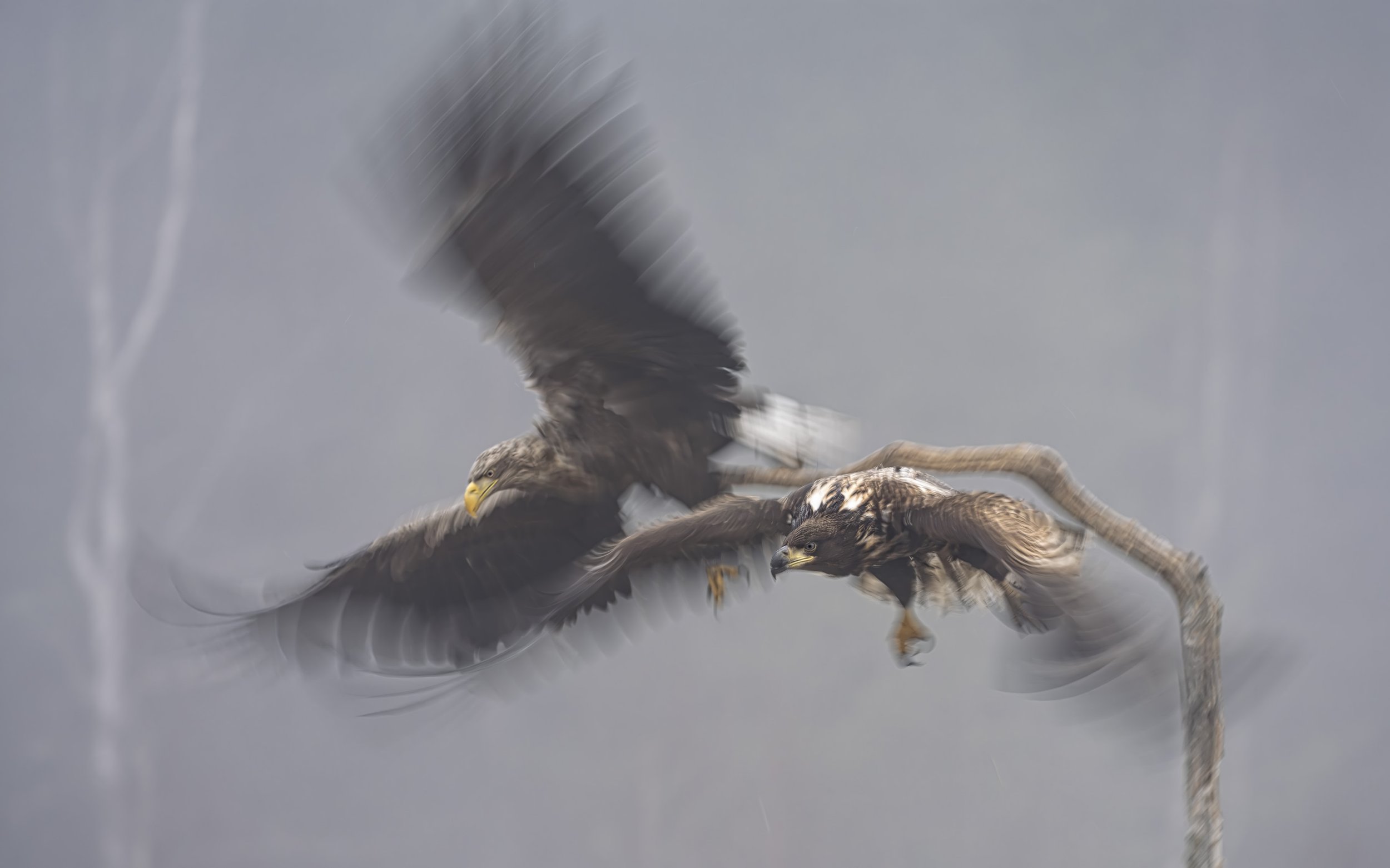 2026-03-13. An old friend came to visit me, someone I’ve known since our high school days. Back then, we began sharing the same curiosity about the world - long conversations, a fascination with nature, and an interest in photography that has only de