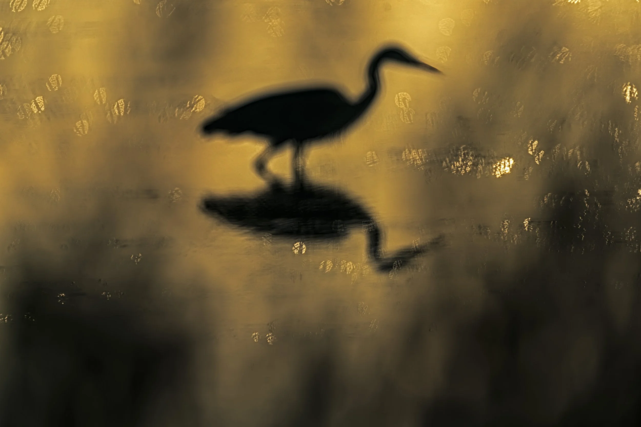 2025-11-17. From my recent tour to Denmark: Photographs in which the main subject is deliberately rendered unsharp can evoke a sense of dreamlike ambiguity, shifting the viewer’s attention from literal detail to atmosphere and emotion. In the case of