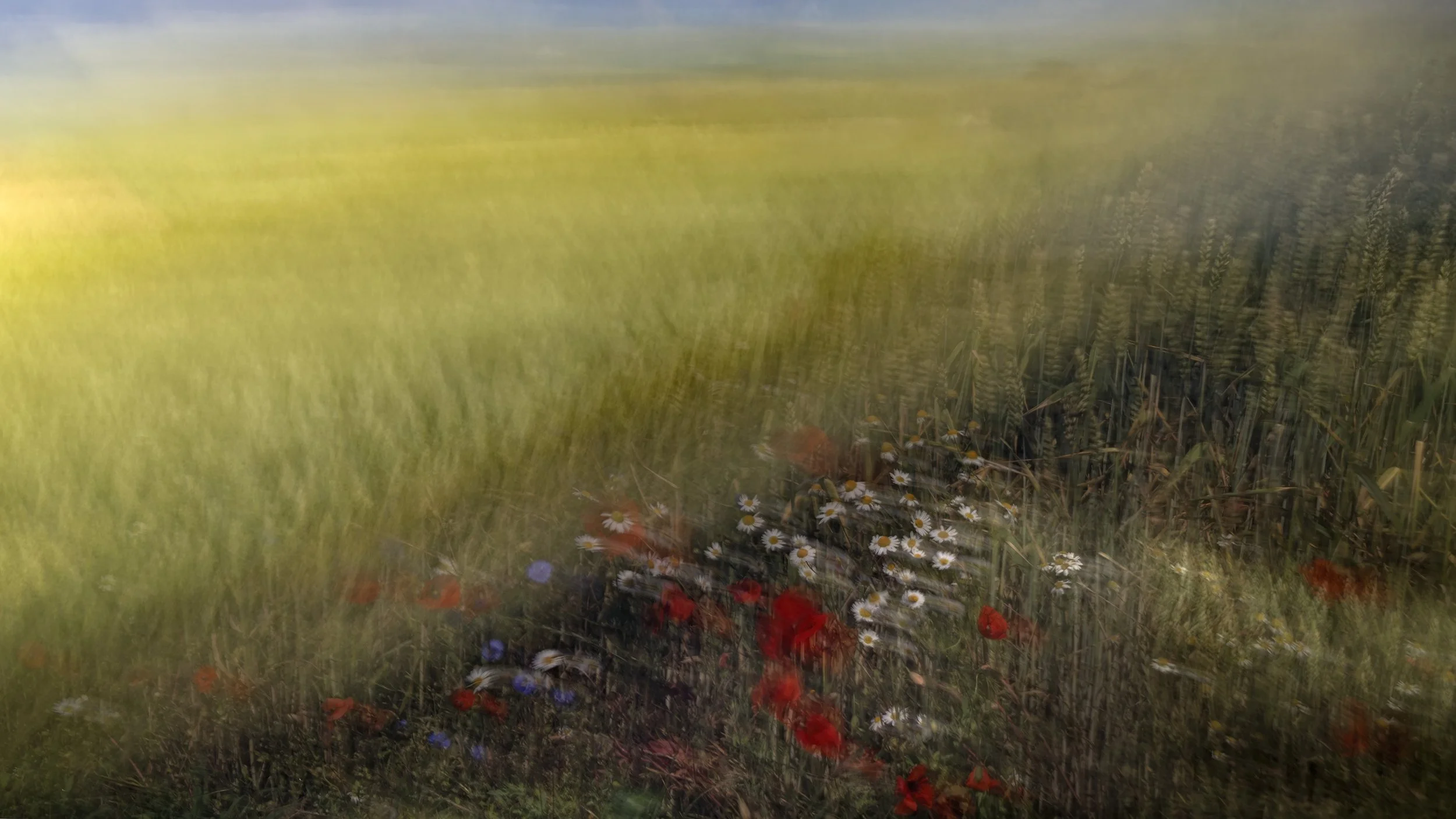 2026-07-17. Skåne has a quiet way of revealing itself. The landscape rarely overwhelms with drama; instead, it invites you to slow down. Rolling fields, ancient woodlands, winding stone walls, and distant horizons create an ever-changing mosaic where