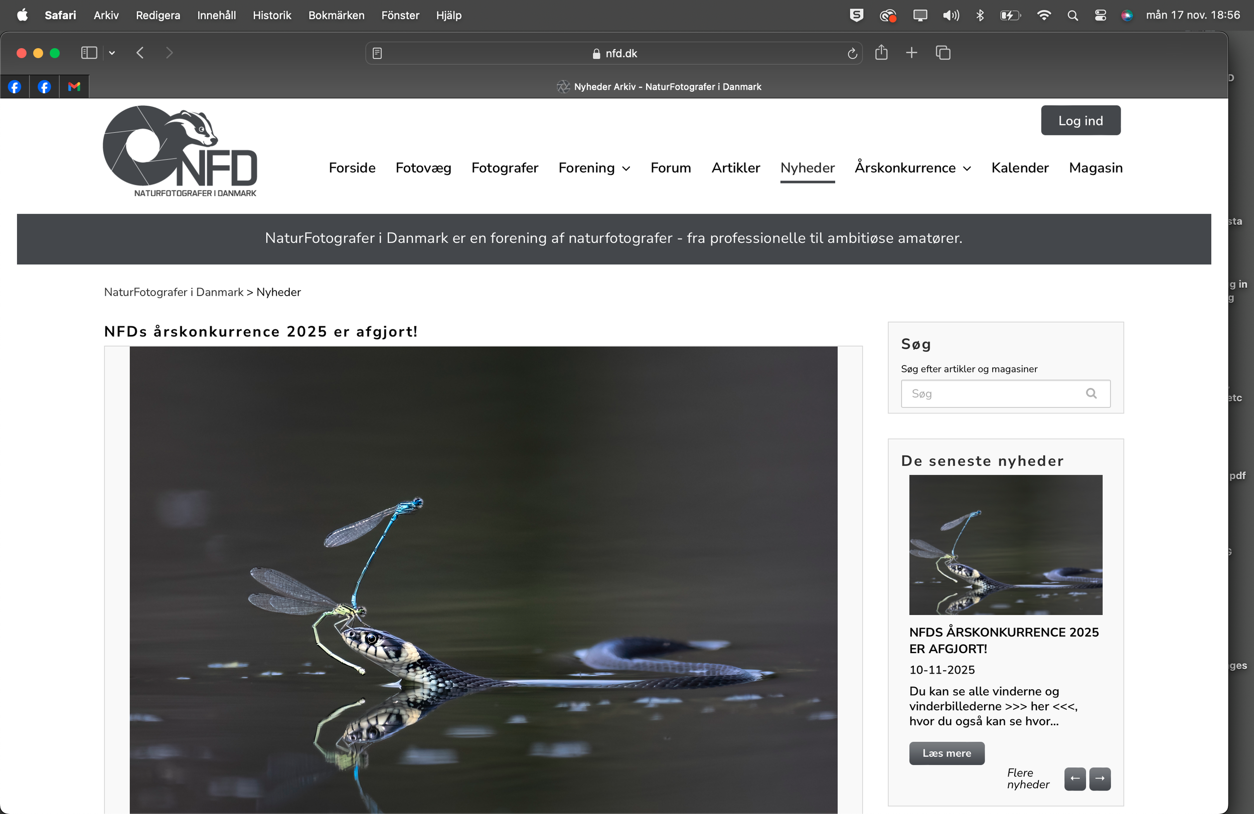 2025-11-17. I have been busy the past few weekends with photo festivals, giving presentations, and conducting workshops. This weekend, I had the pleasure of teaching a repeat of the workshop “Måla med kameran” - Painting with Your Camera for Tyresö F