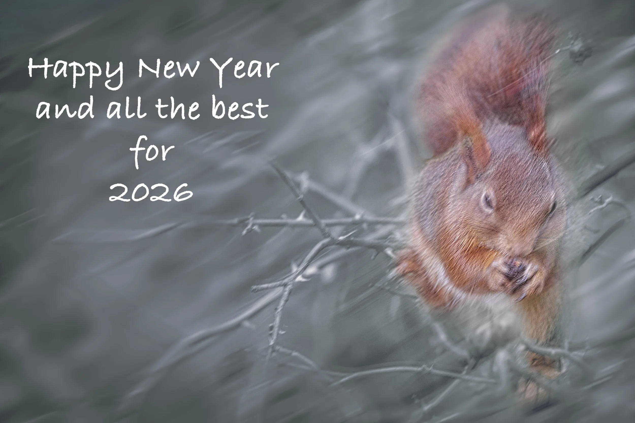 2026-01-01. A new year full of prospects to come. More photography, more in nature, more van-life and some workshops and tours and maybe a new book 😉