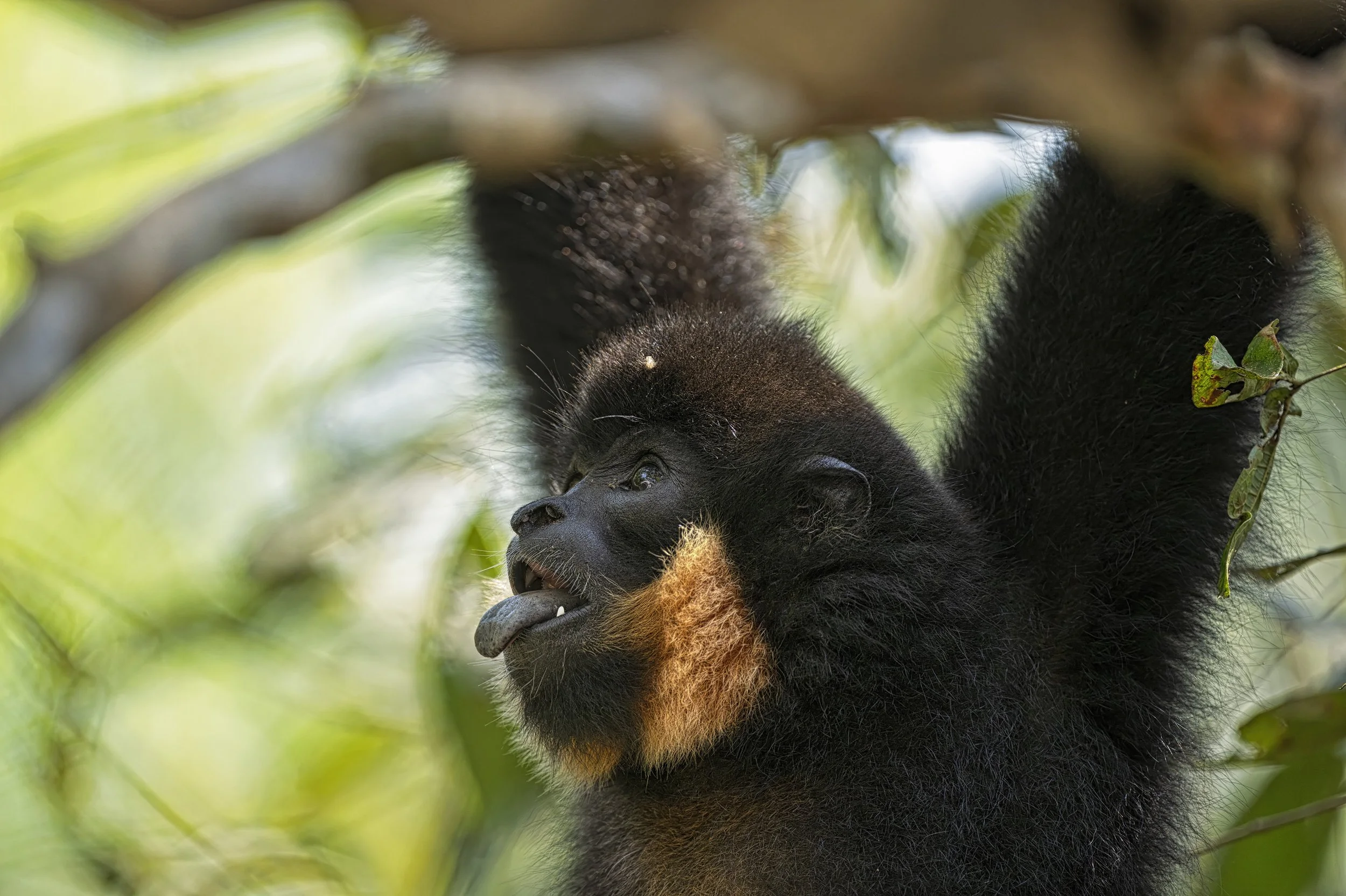 _1326095 (kopia).jpg