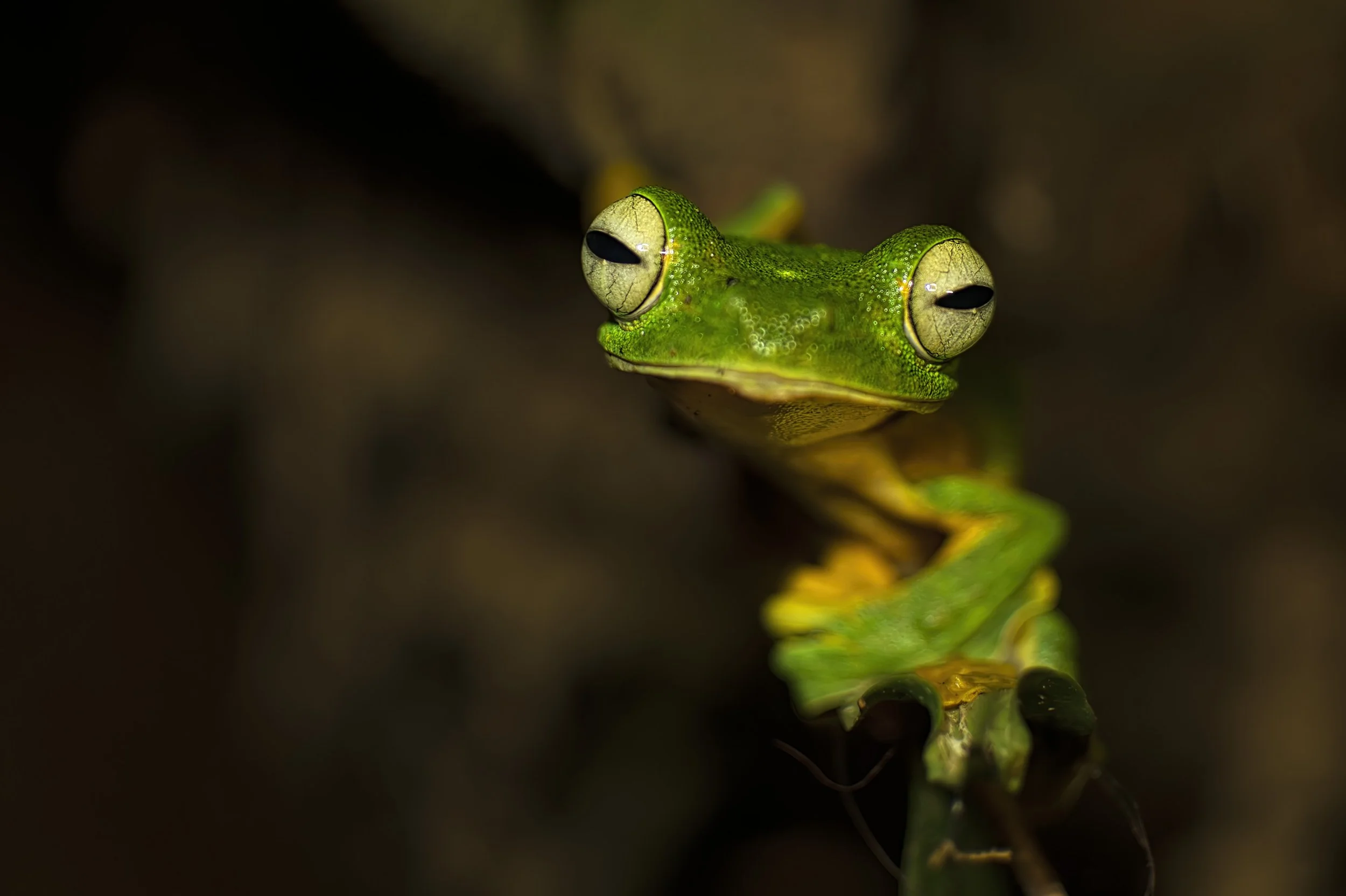 _1401981 LLLssix (kopia).jpg