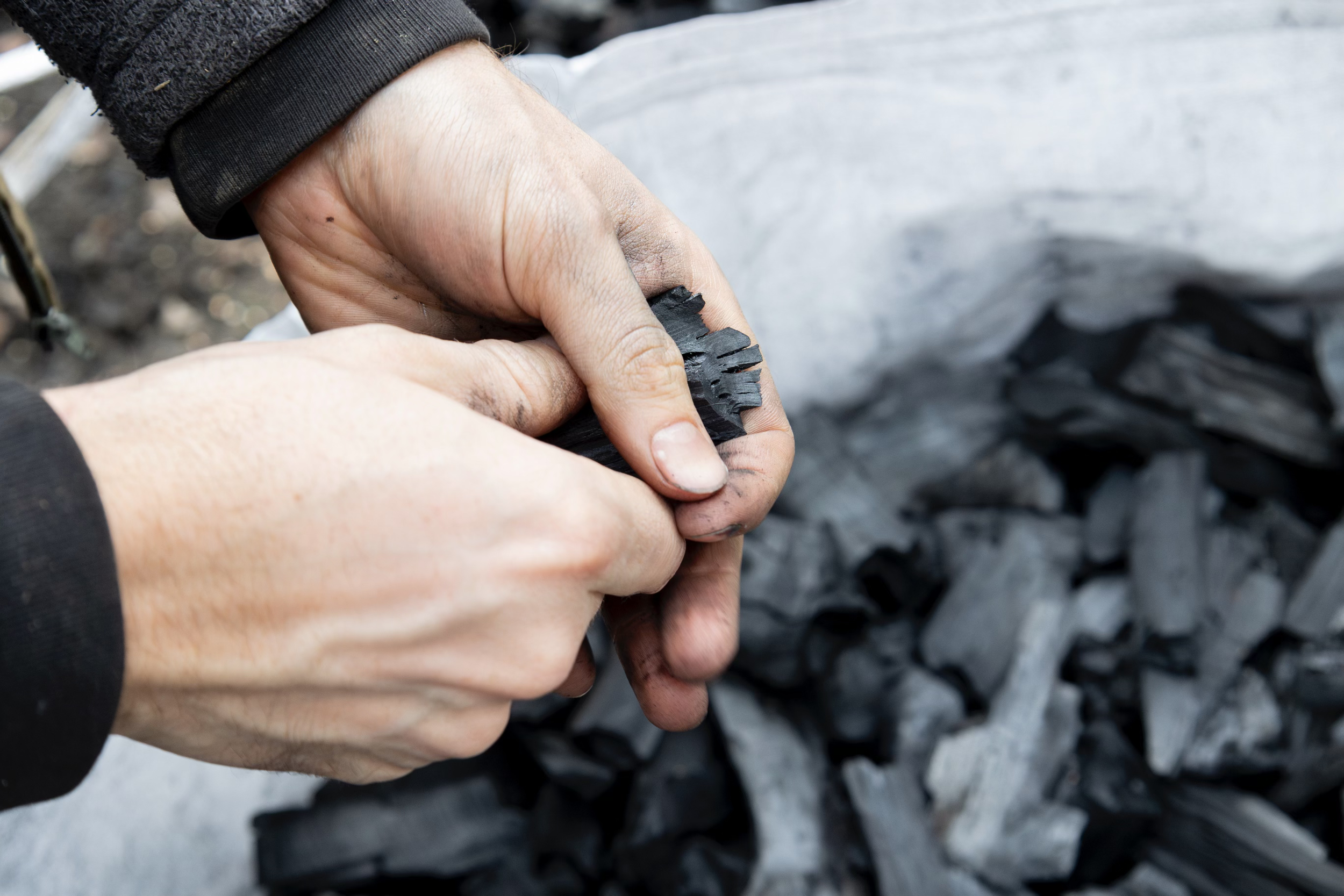 2025 in UK Carbon Removal: Policy Progress, Delivery Gaps, and What Comes Next