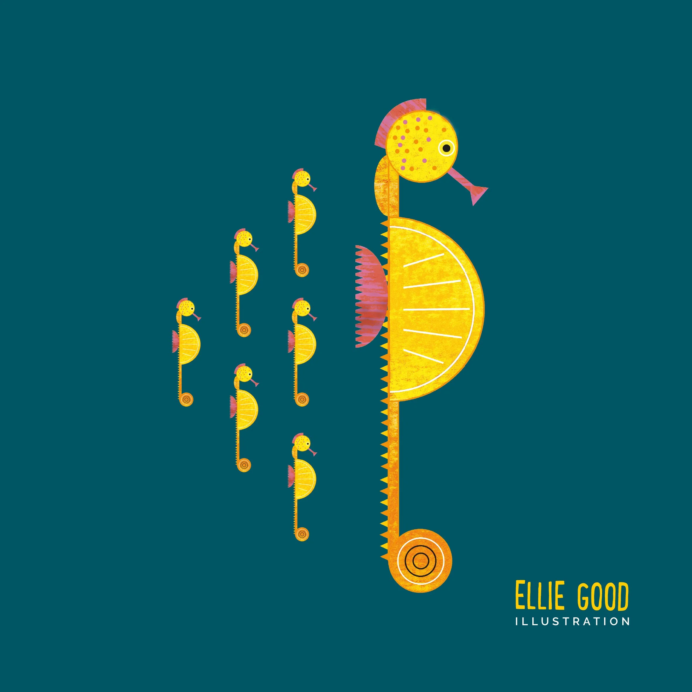 EllieGoodIllustration Seahorse.jpg