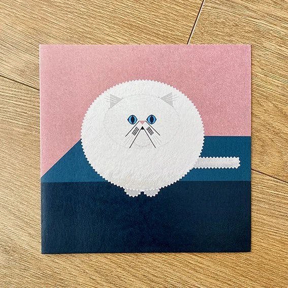 persian cat 2.jpg