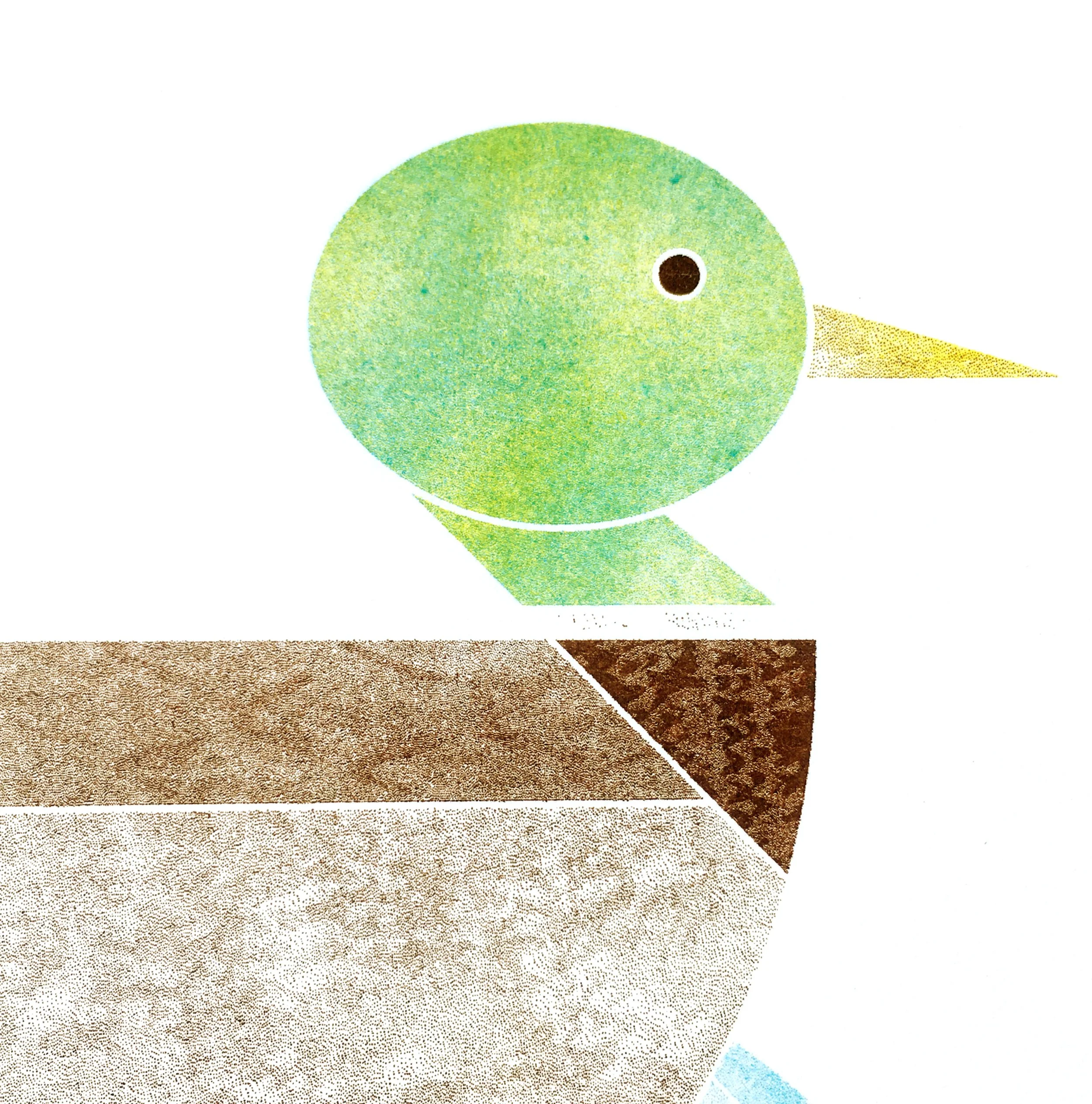 mr-duck-head.jpg