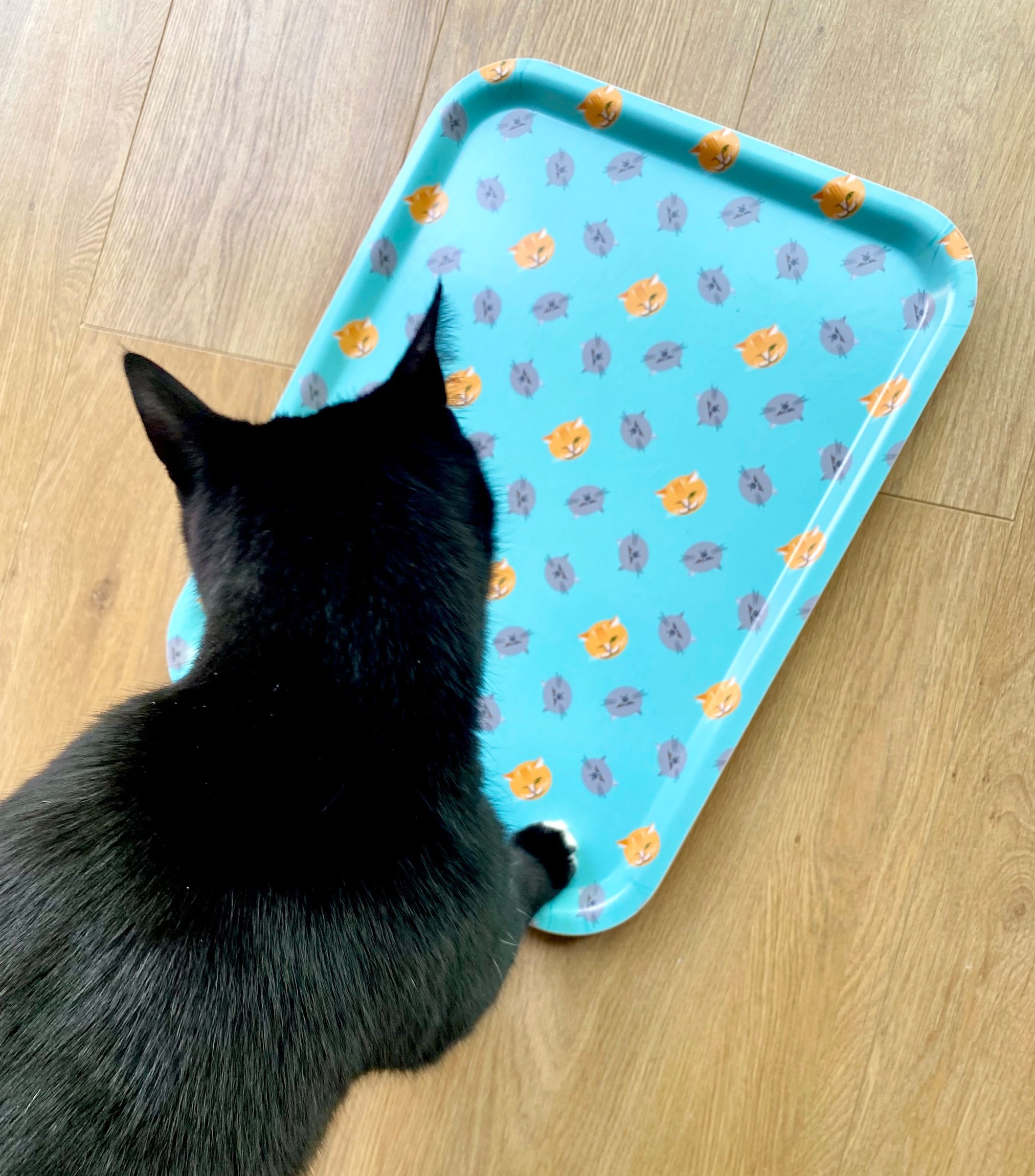 Sparky-wiht-cat-head-tray.jpg