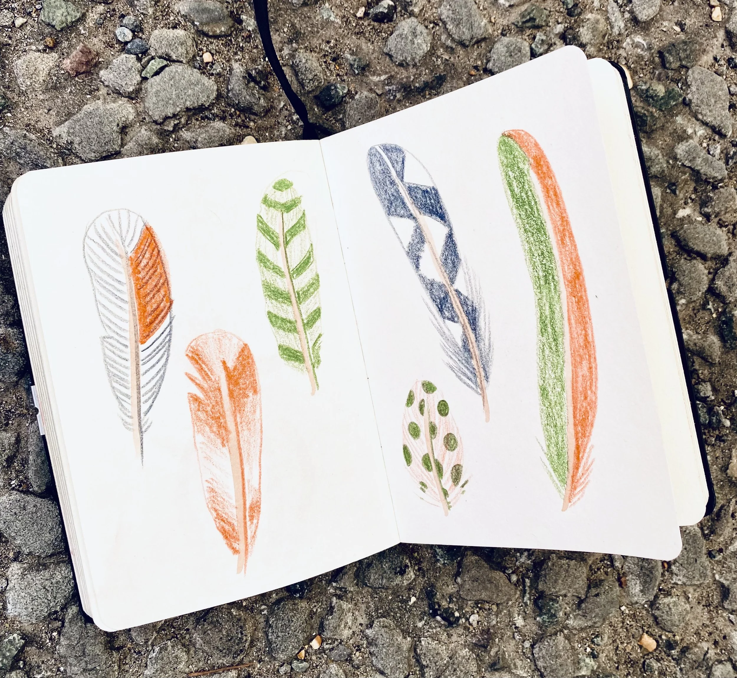 Feathers.jpg