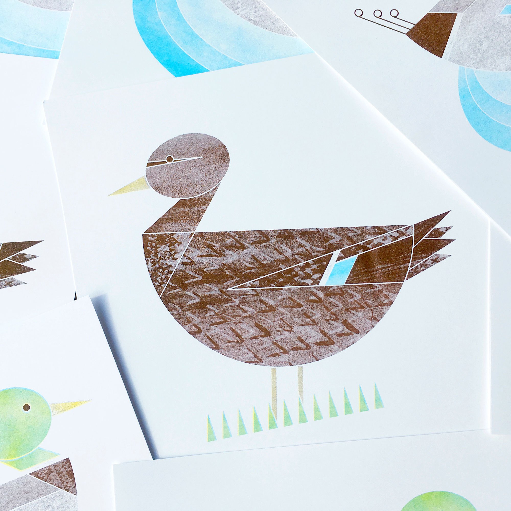 scattered-lady-duck-2.jpg