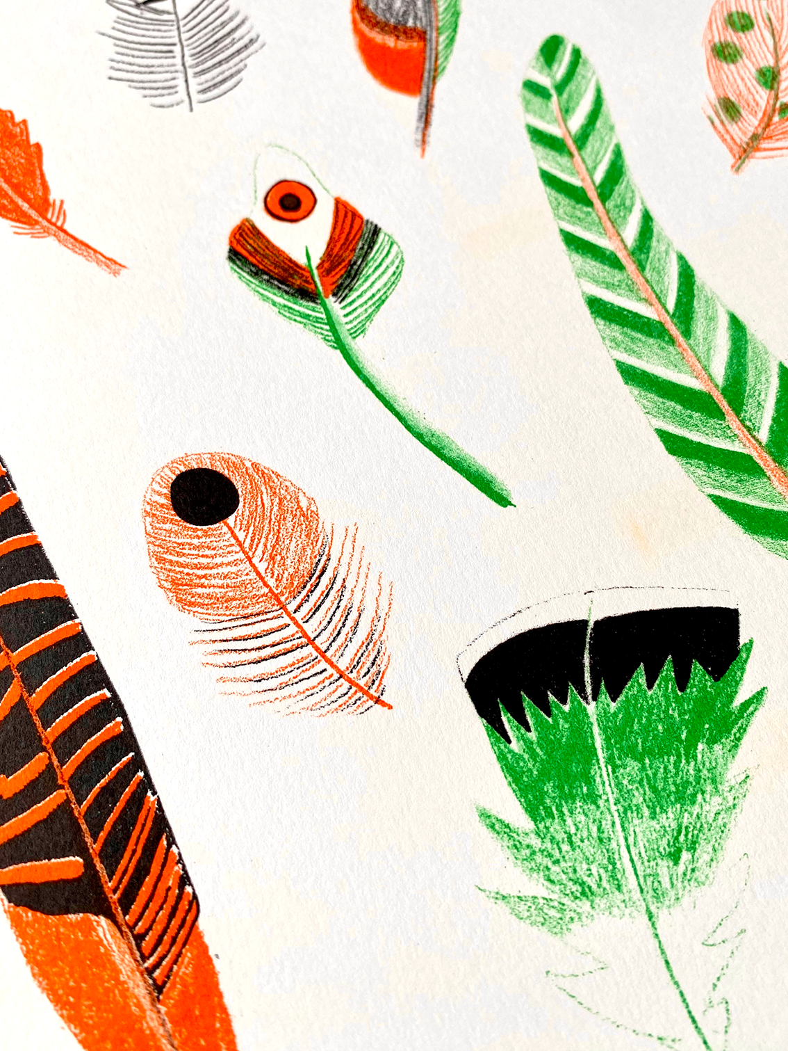 Feather-print-detail-2-WEB.png