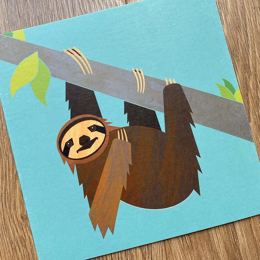 sloth 1.jpg