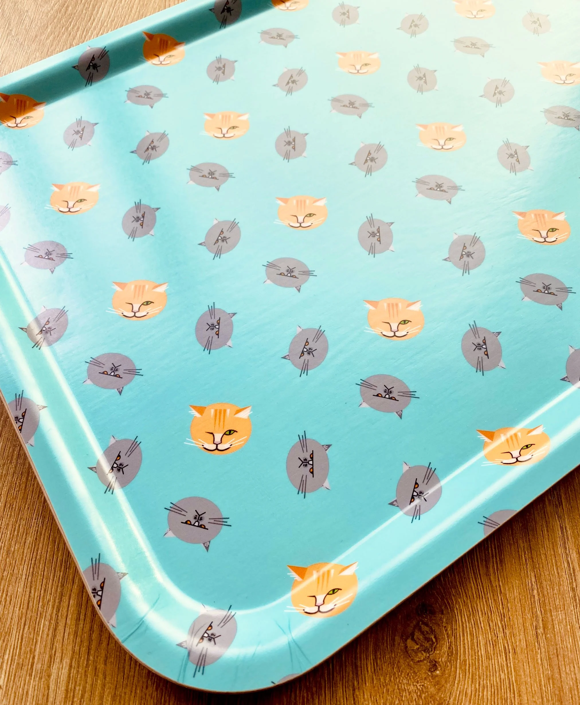 Cat-Heads-large-tray-angle-web.jpg
