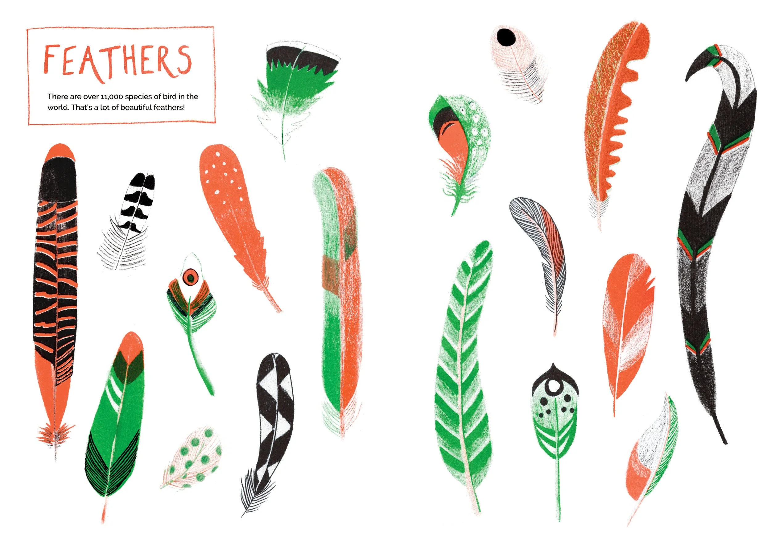 Nature patterns riso FEATHERS_low.jpg