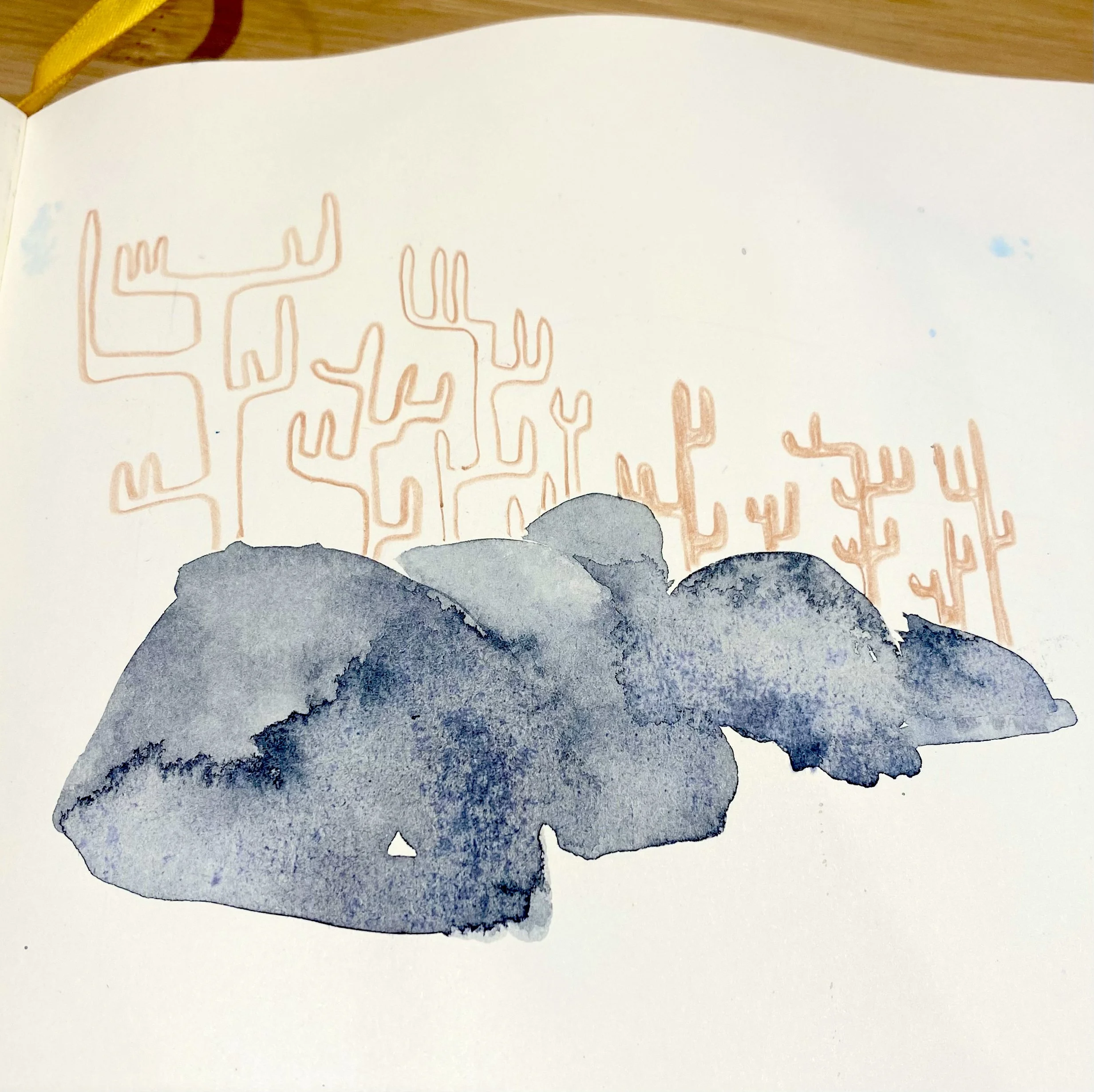 coral and rocks sketch.jpg