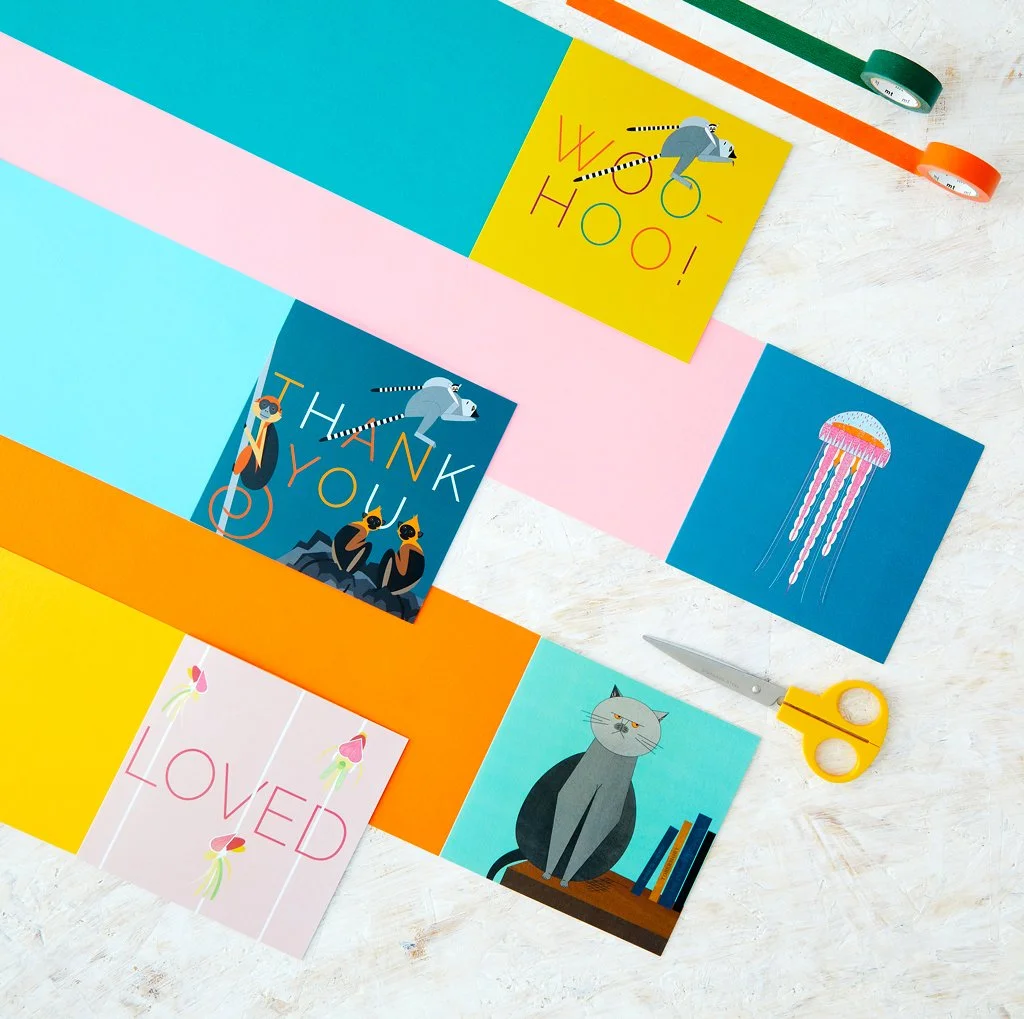 Greetings Card Lucky Dip Bargain Bundle