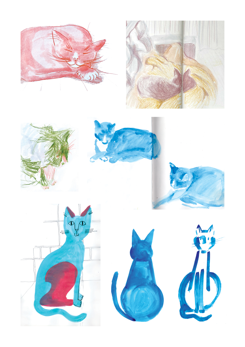 cat studies low res.png