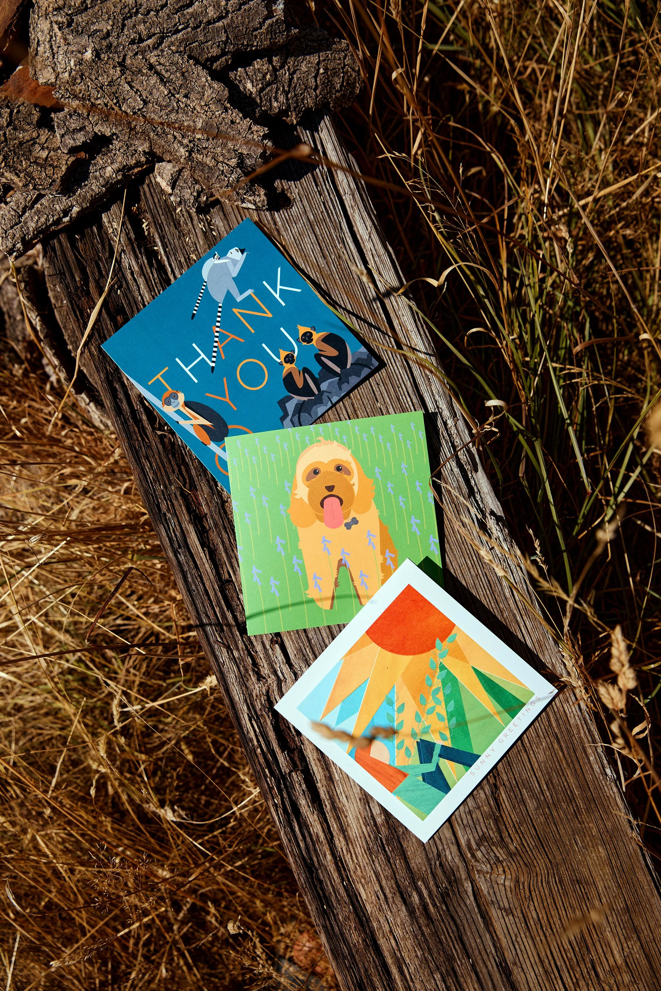 ELLIE_GOOD_ILLUSTRATION_24_08_22_028_creditHarrietClare_CockapooThankYouSunLadycards_SM.jpg