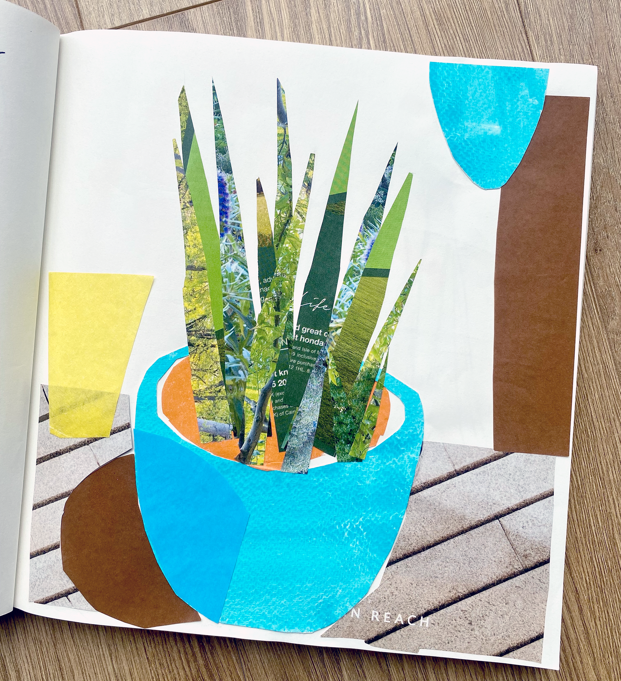 sketchbook_collage plant.png
