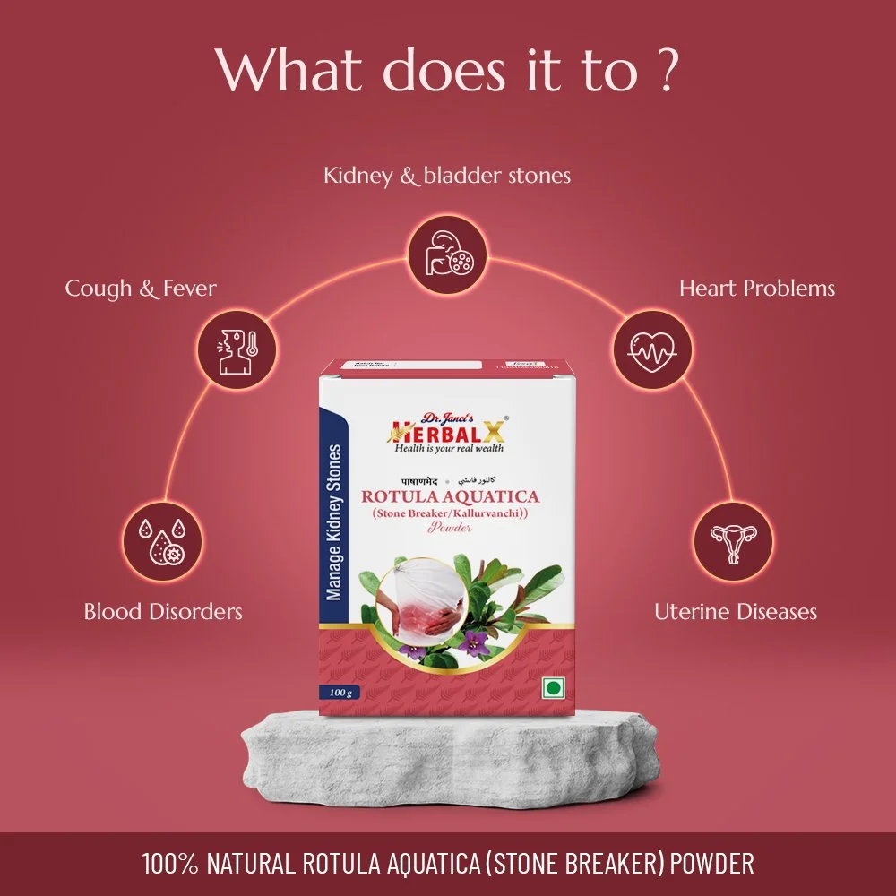 Stone Breaker Powder05.jpg