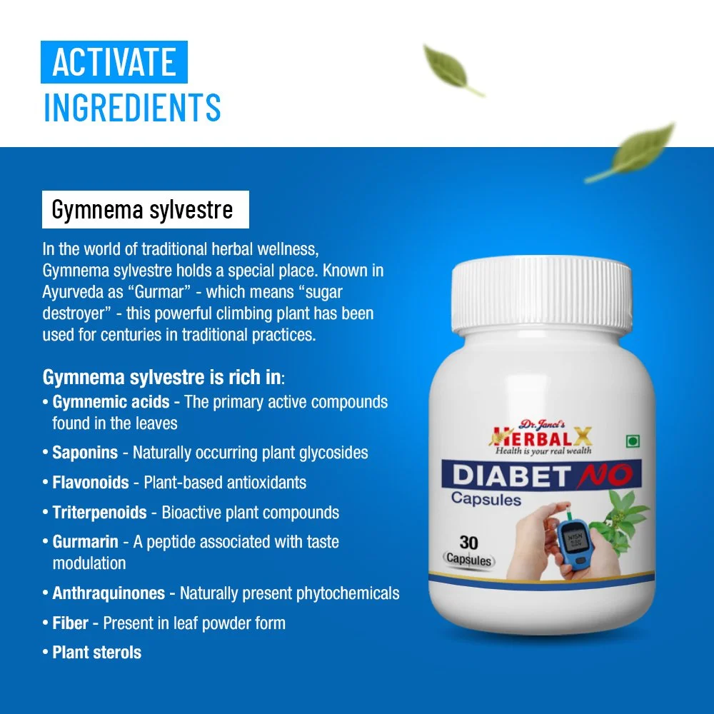 Diabet No Capsule04.jpg