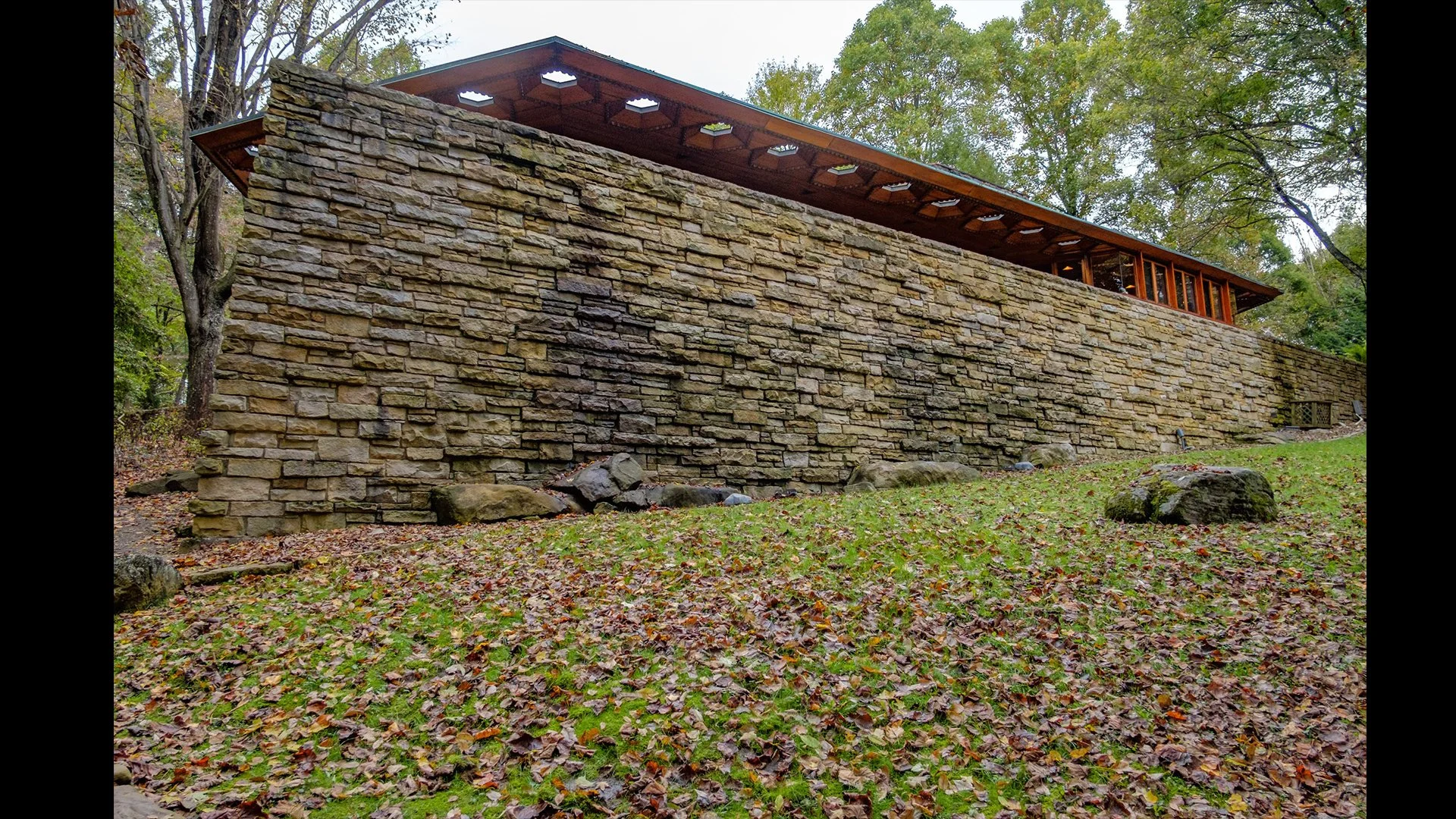 view from lower yard 1.jpg