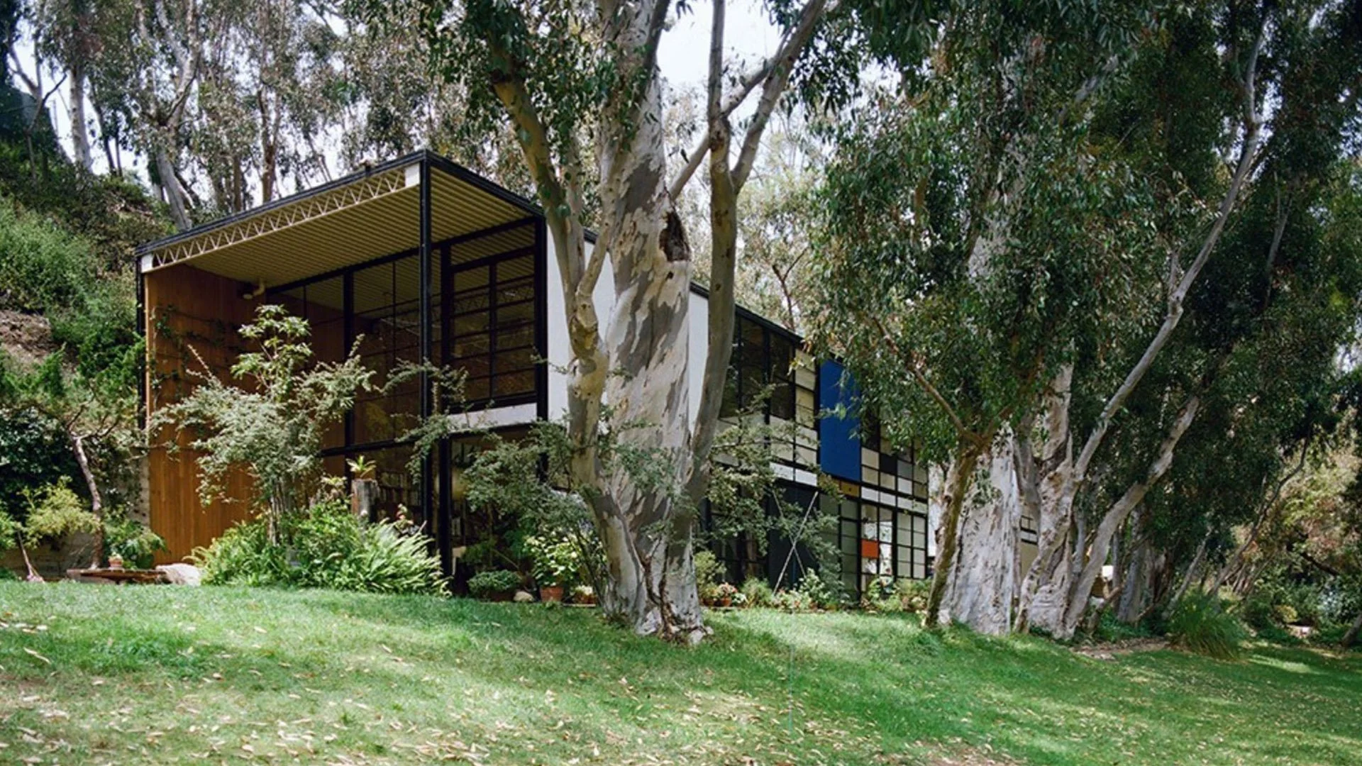 Modern house surrounded by trees and greenery with a sloped lawn in the foreground.