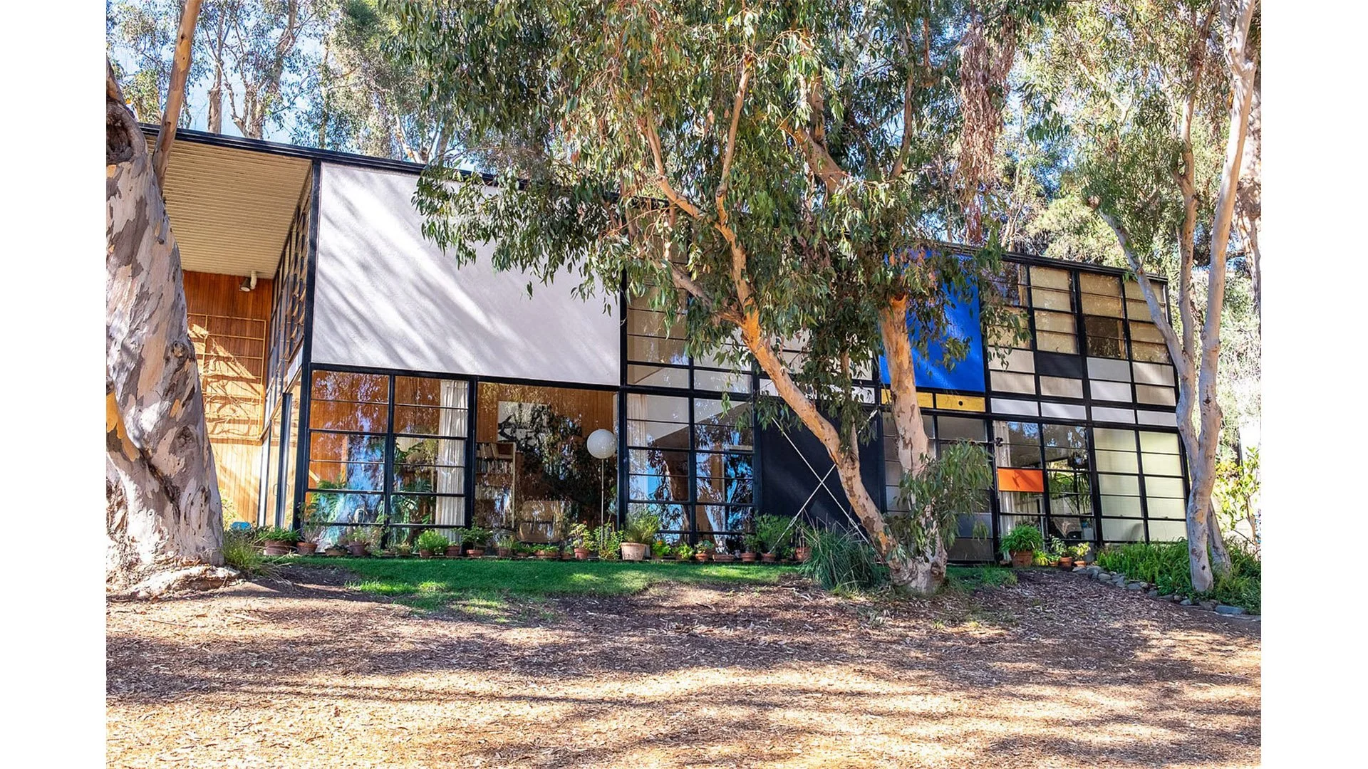 Modern glass house surrounded by trees with sunlight filtering through