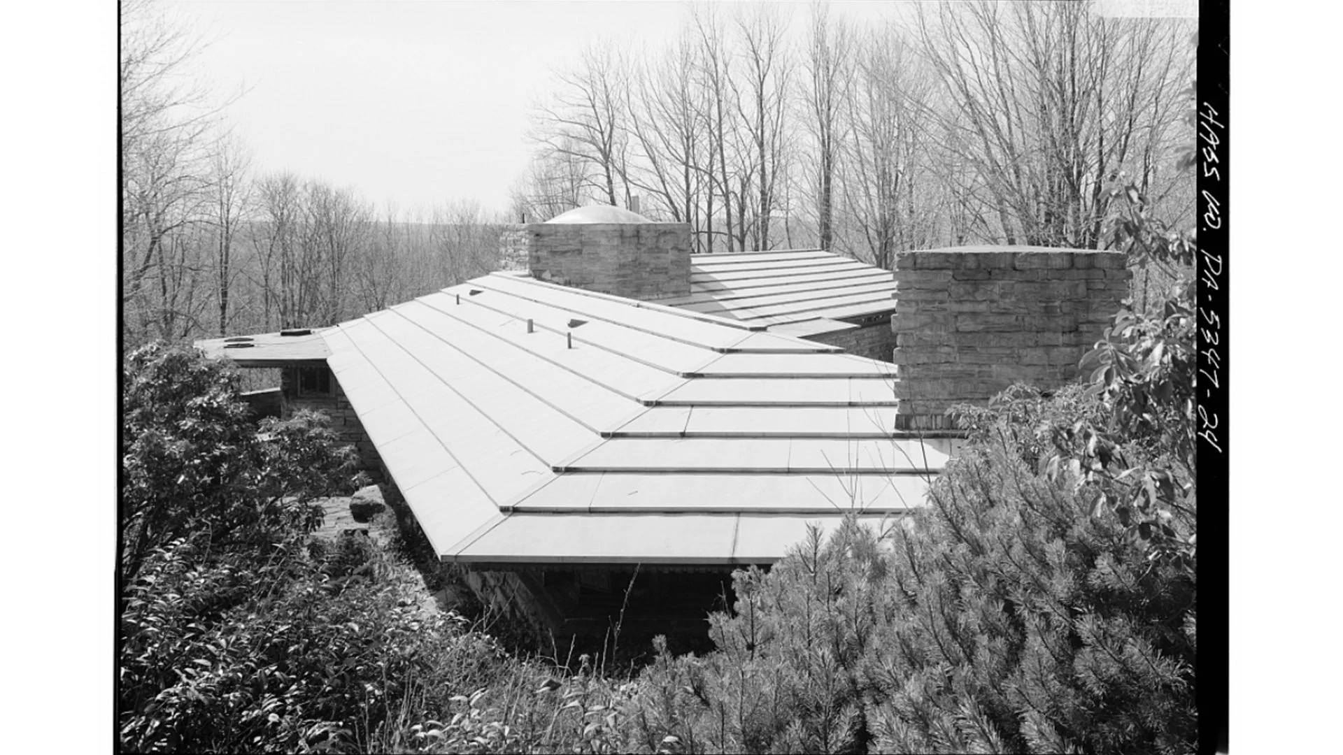 Black and white photo of a metal roof on a house, with trees in the background and surrounding bushes and shrubs.
