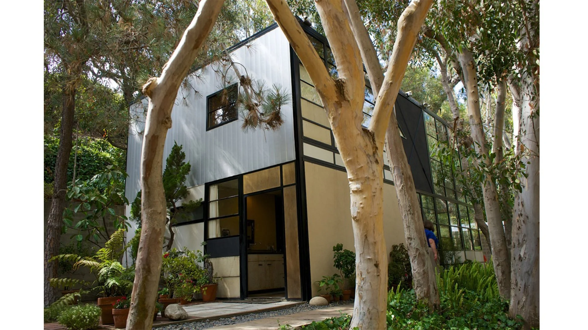 Modern two-story house with large glass windows, surrounded by trees and plants in a lush garden.