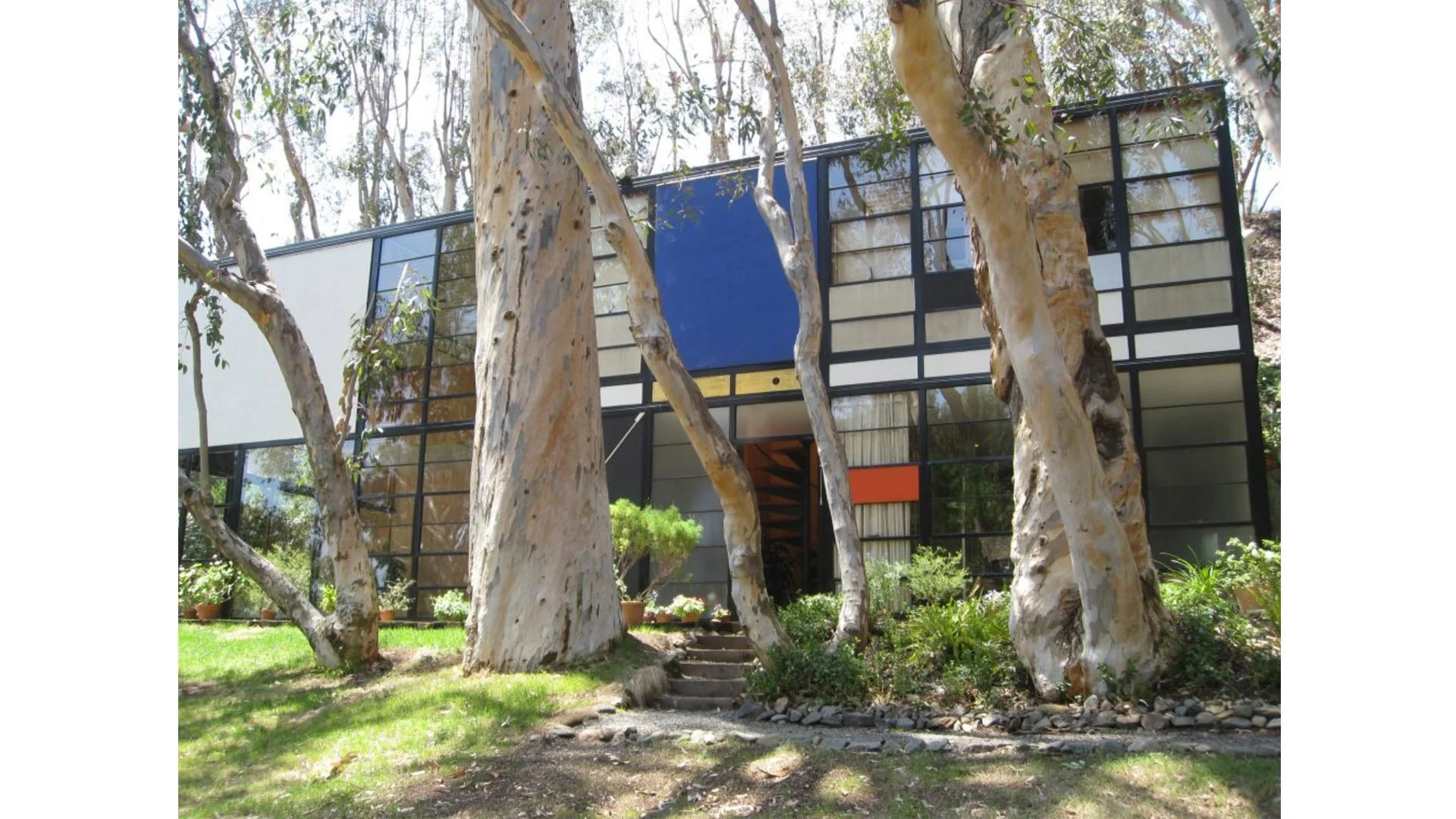 Modern house with a black metal frame and large glass windows, surrounded by tall eucalyptus trees and green shrubs in a garden.