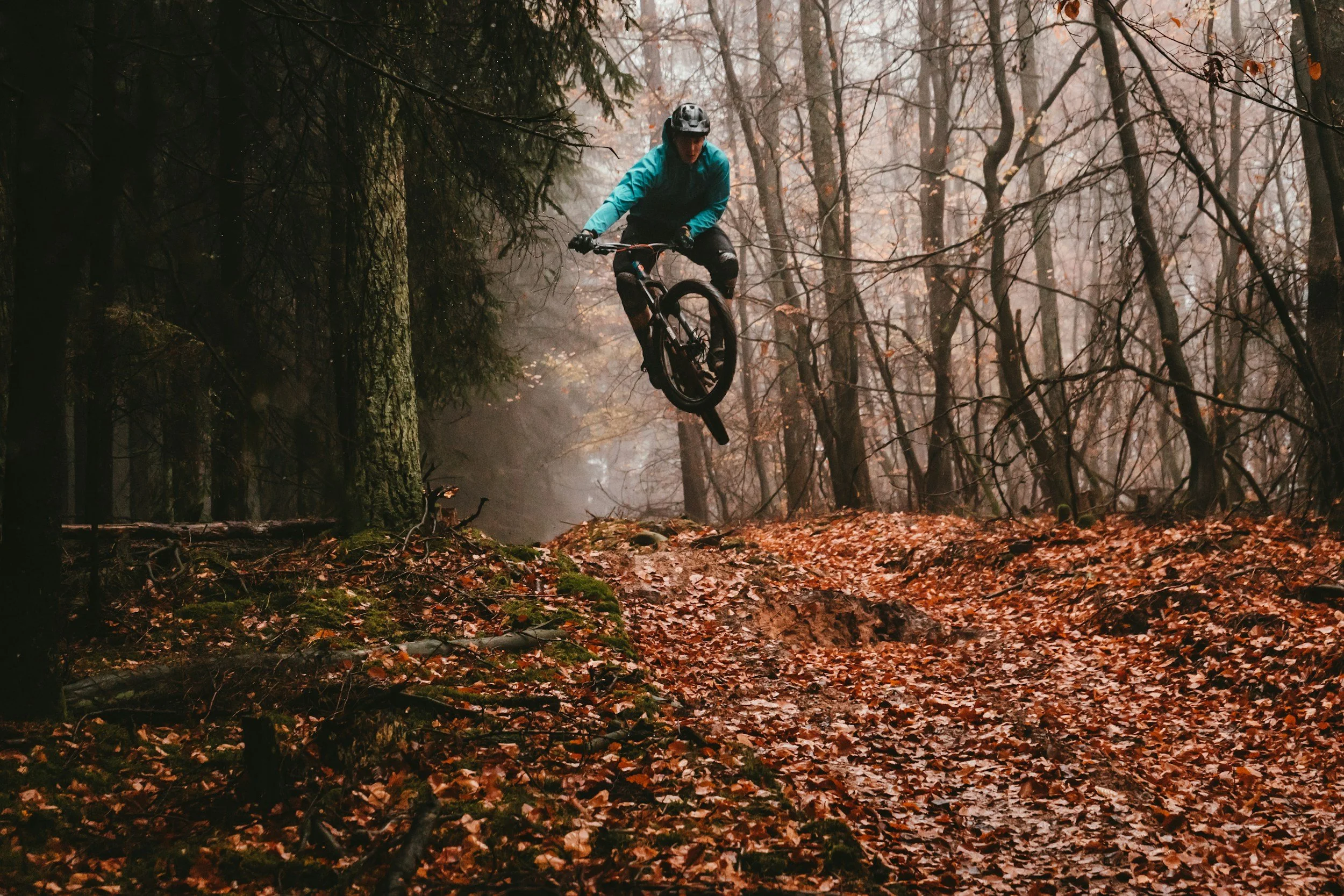 A person riding a mountain bike and jumping off a dirt trail in a forest with fall foliage.
