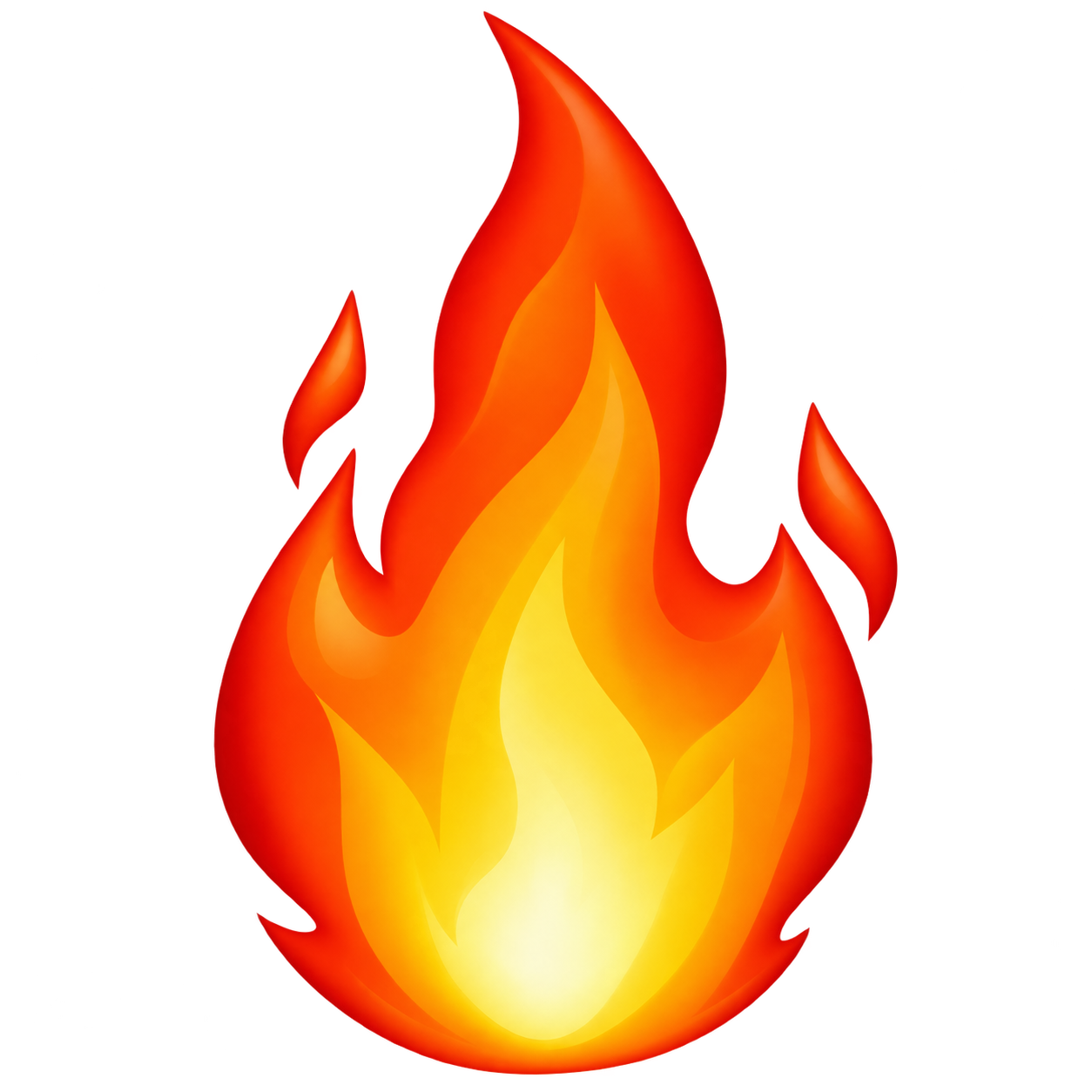 what's hot & what's popular at roar