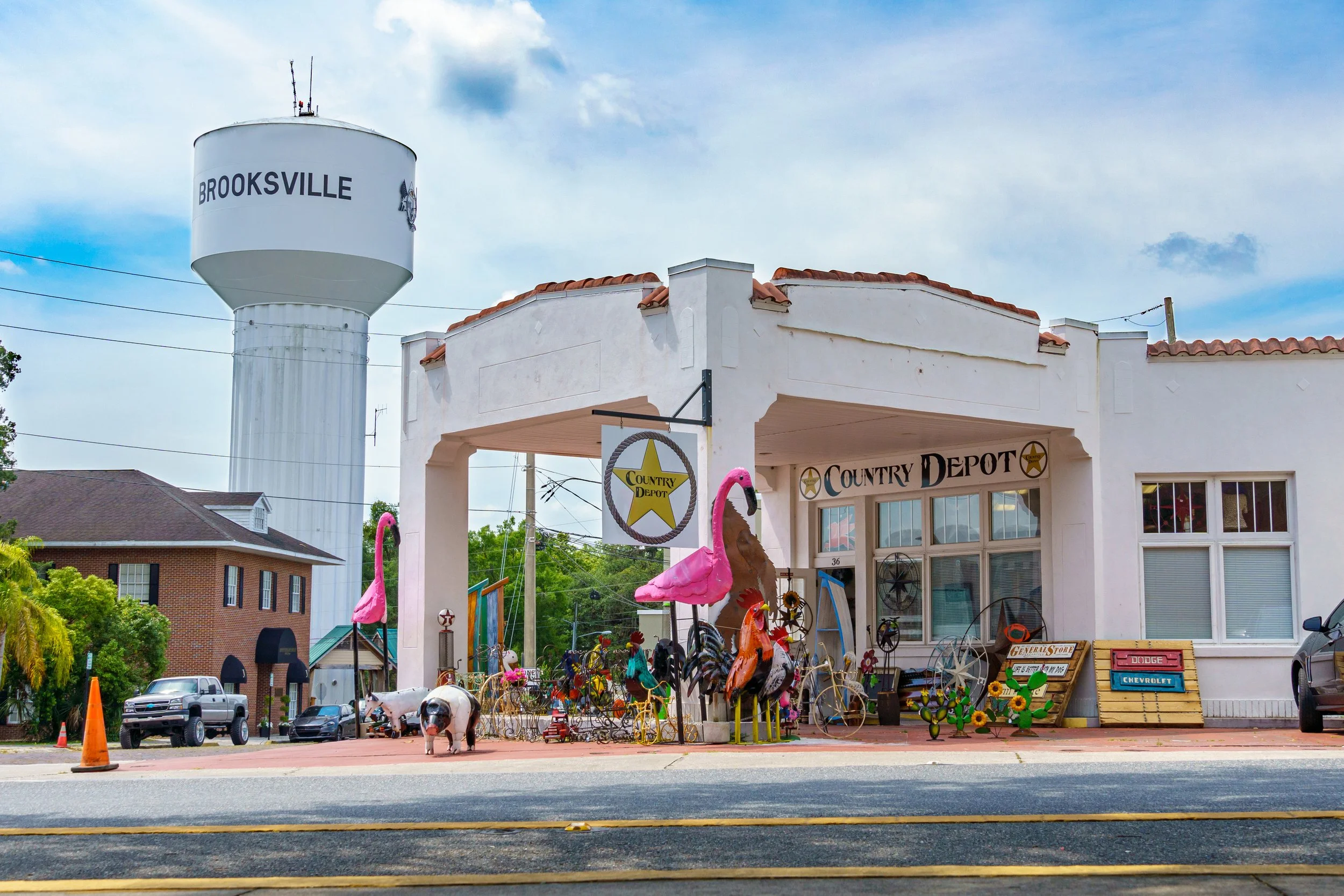 A small town store called Country Depot with a white building and red tiled roof, decorated with pink flamingo yard ornaments, bicycles, and vintage signs. A large water tower labeled Brooksville rises in the background under a partly cloudy sky.
