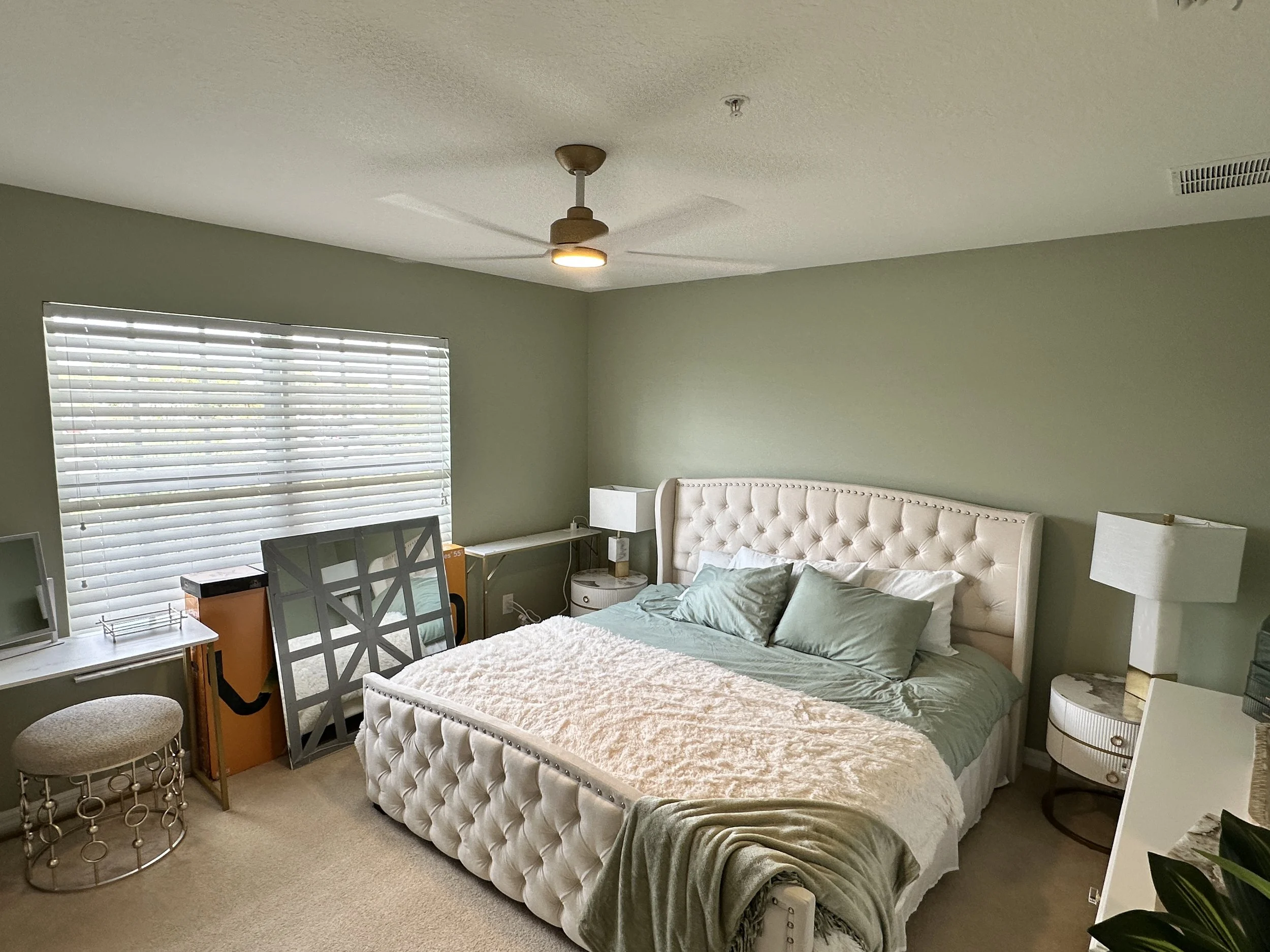 Ceiling fan 2 5-24.JPG