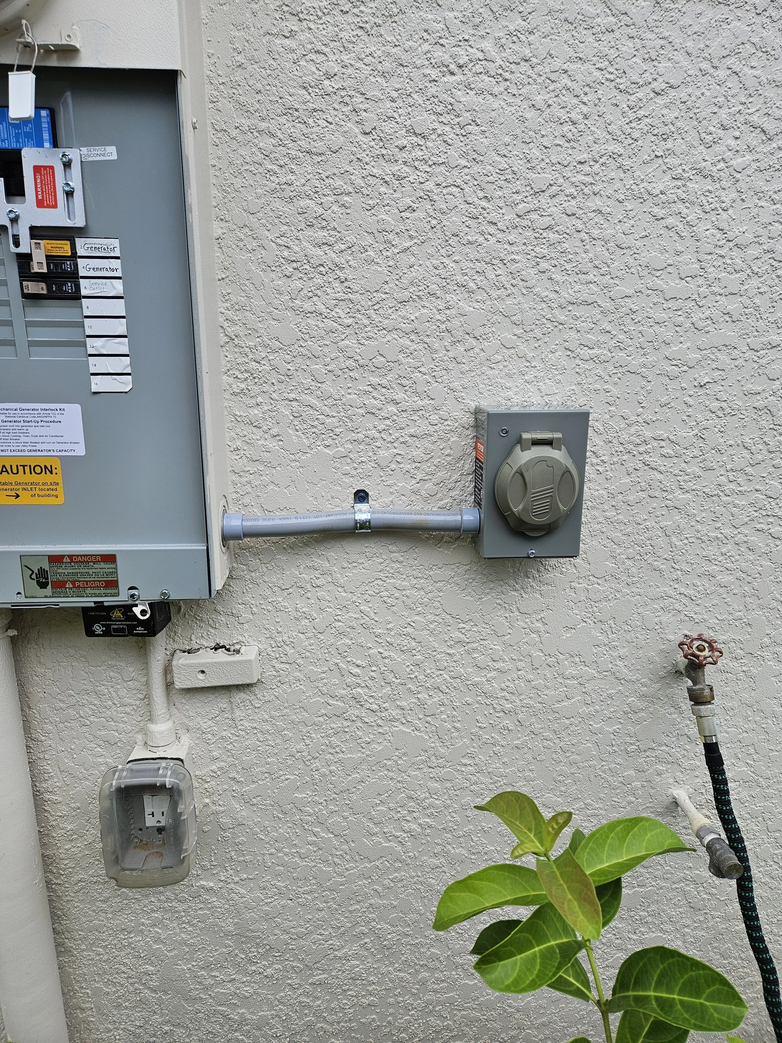 Electrical meter box on a textured wall, with an exposed socket underneath, an electrical outlet box, with a plant in the foreground.