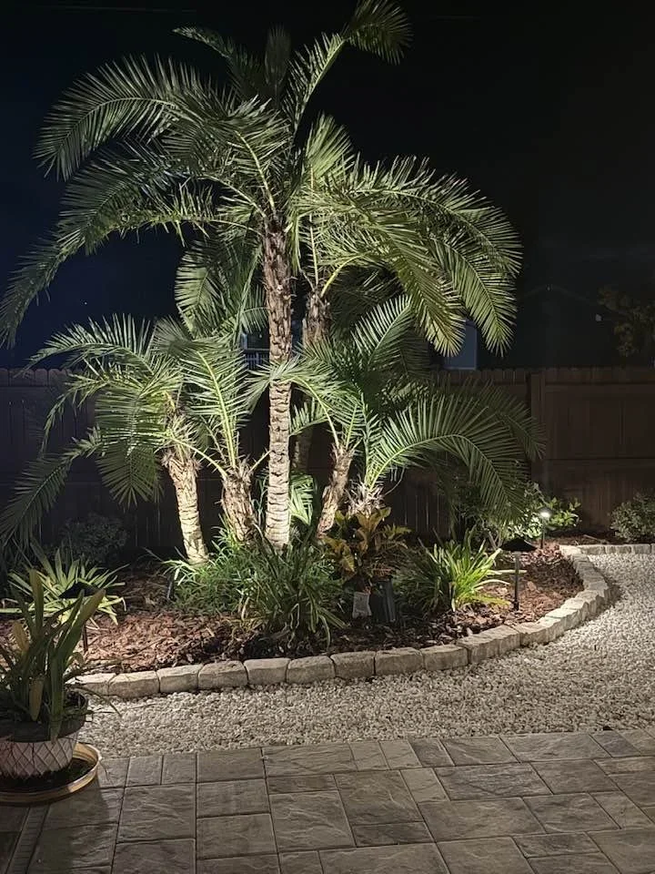Nighttime backyard scene featuring palm trees illuminated by landscape lighting. A stone planter bed with tropical plants borders the gravel pathway, with a wooden fence in the background.
