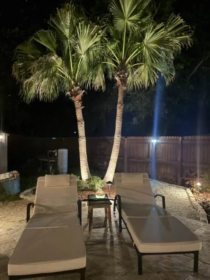 Two lounge chairs and a small table between them in a backyard at night, with a backdrop of two tall palm trees and a wooden fence, illuminated by outdoor lighting.