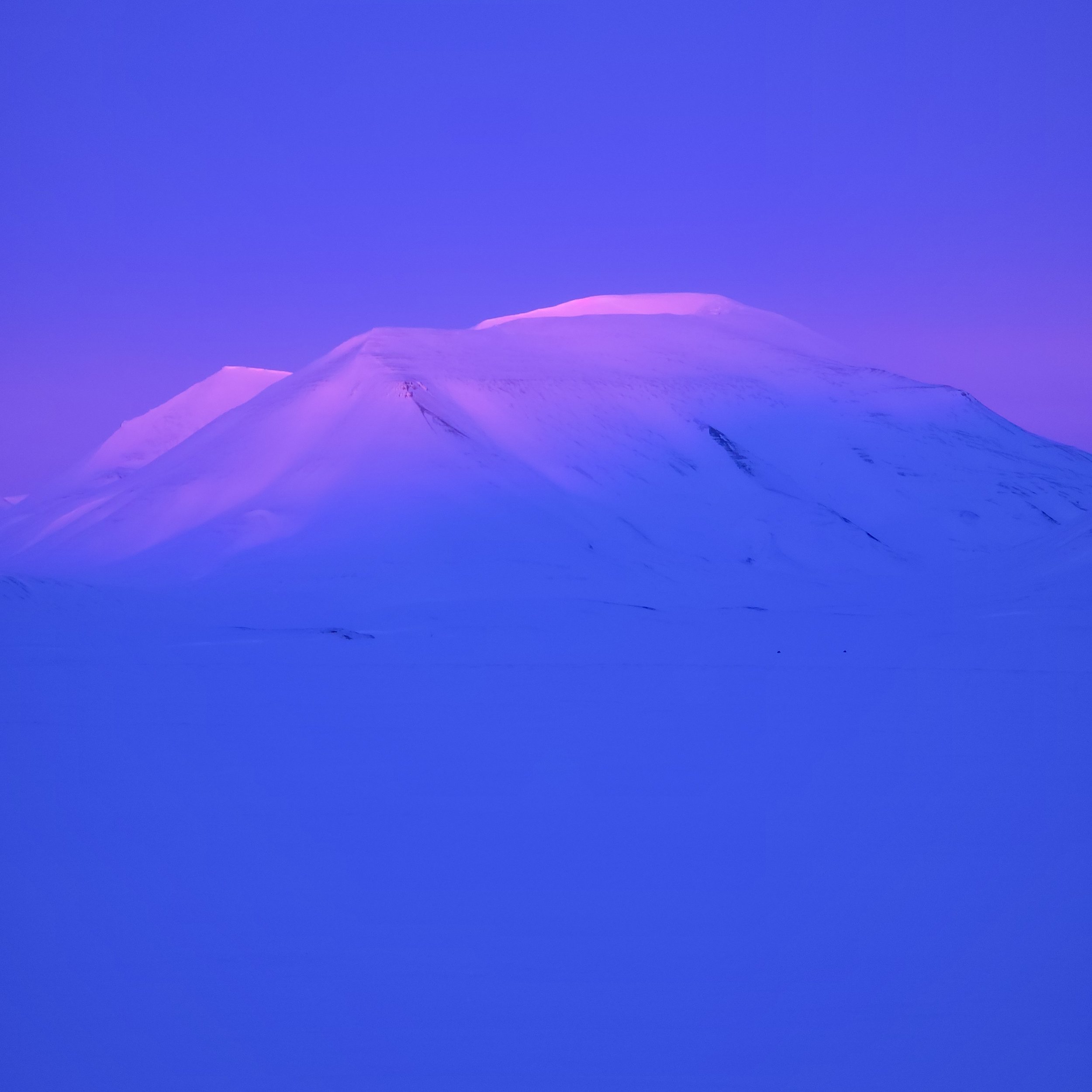 20250401_204843.jpg