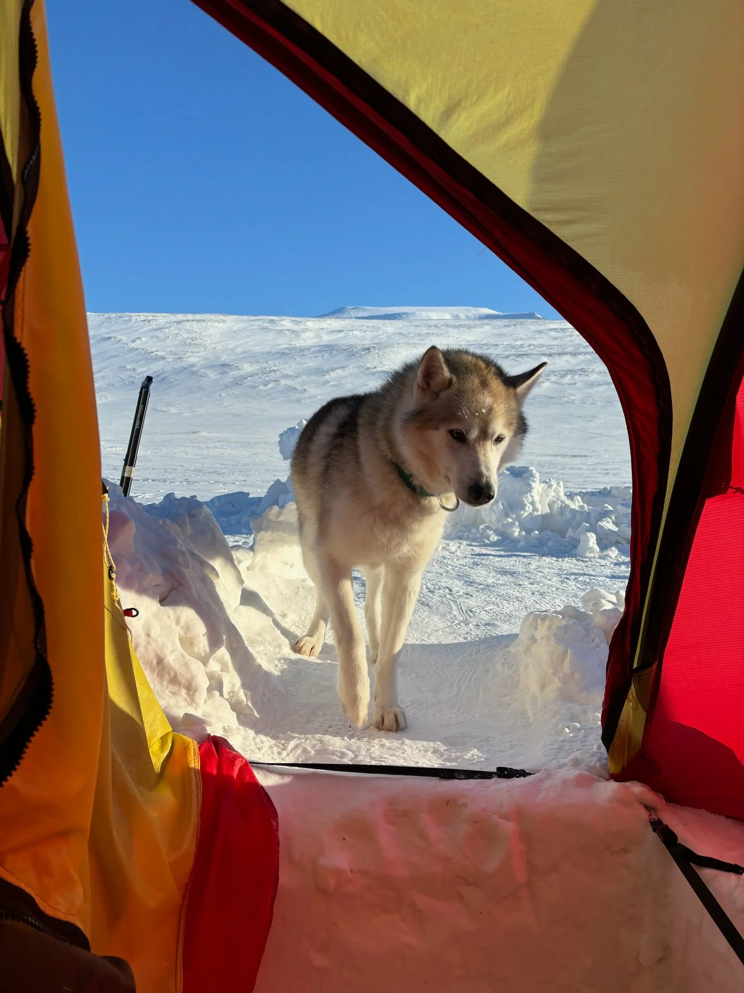 IMG_9753.jpg