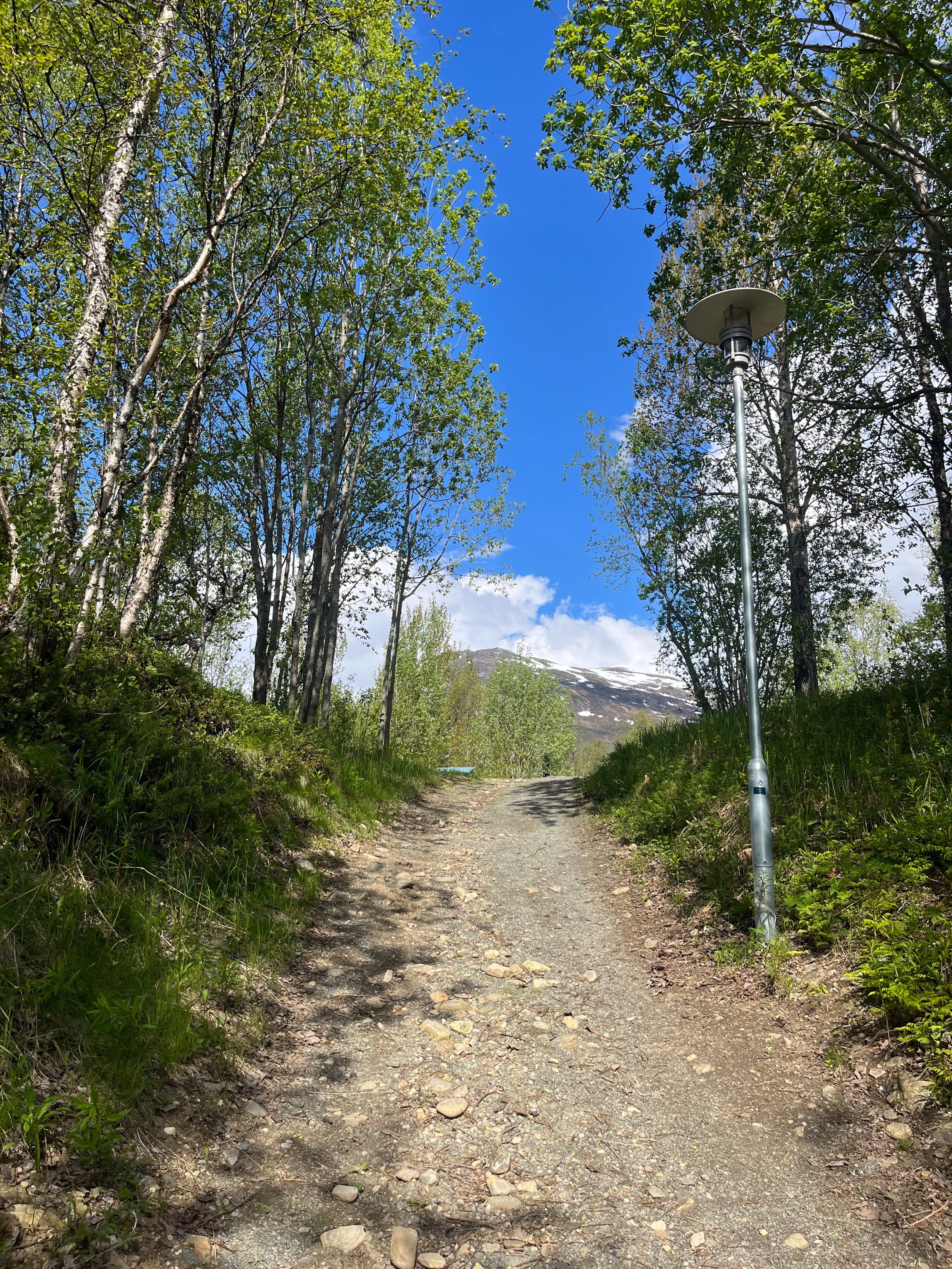 Internatbakken mot internatene (fjellet skolten i bakgrunnen)