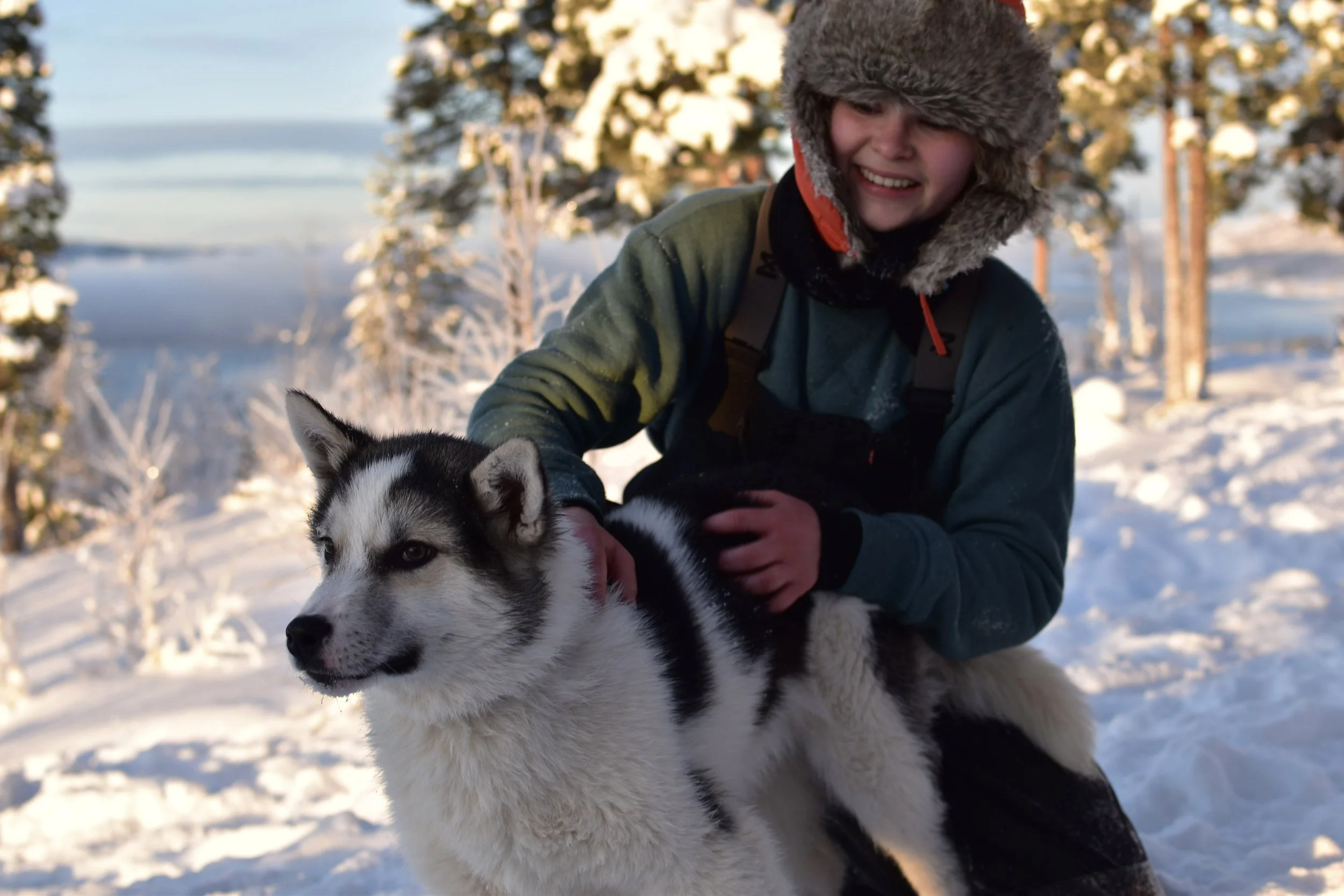 Malangen Folkehøgskole Hund 