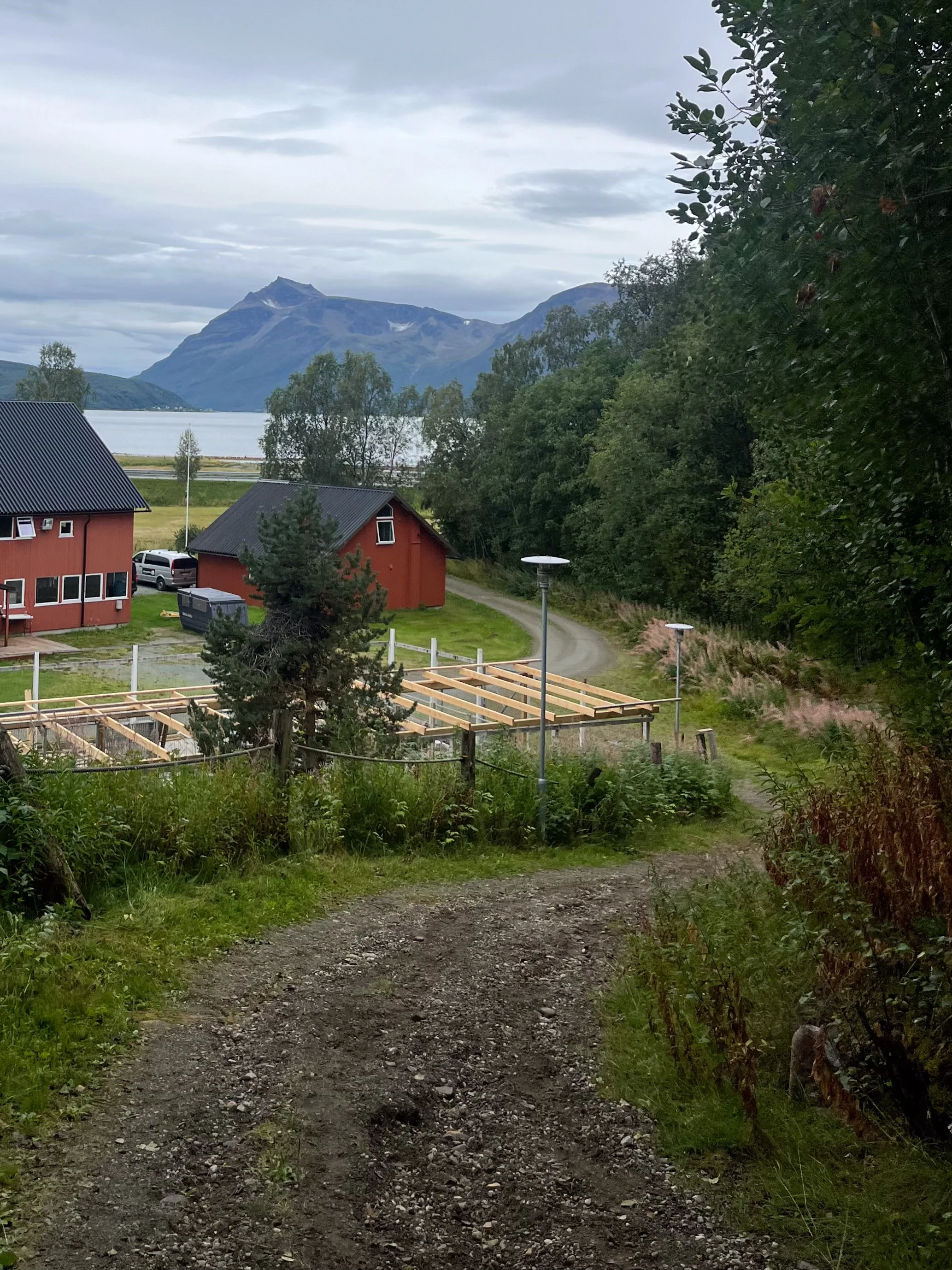 Utsikten fra internatbakken