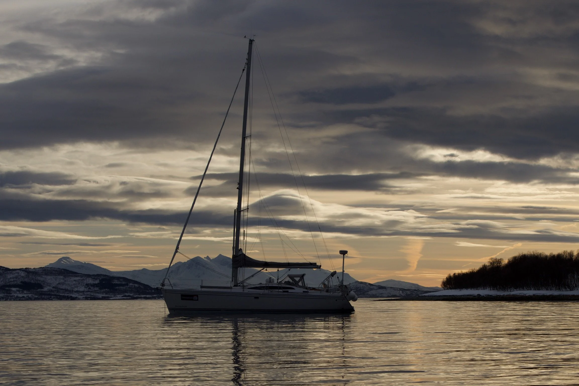 DSC_0391.jpg