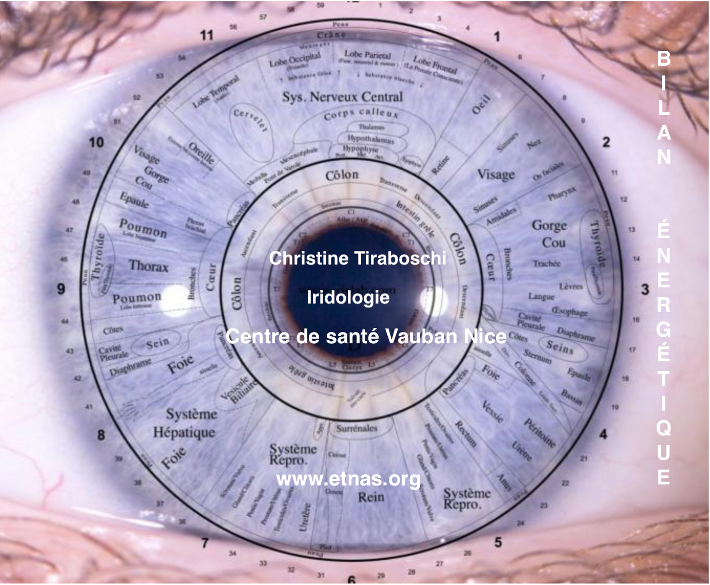 e image d'œil humain, montrant diverses sections liées à l'iridologie et des indications sur la santé. Texte en surimpression mentionne un centre de santé à Nice.