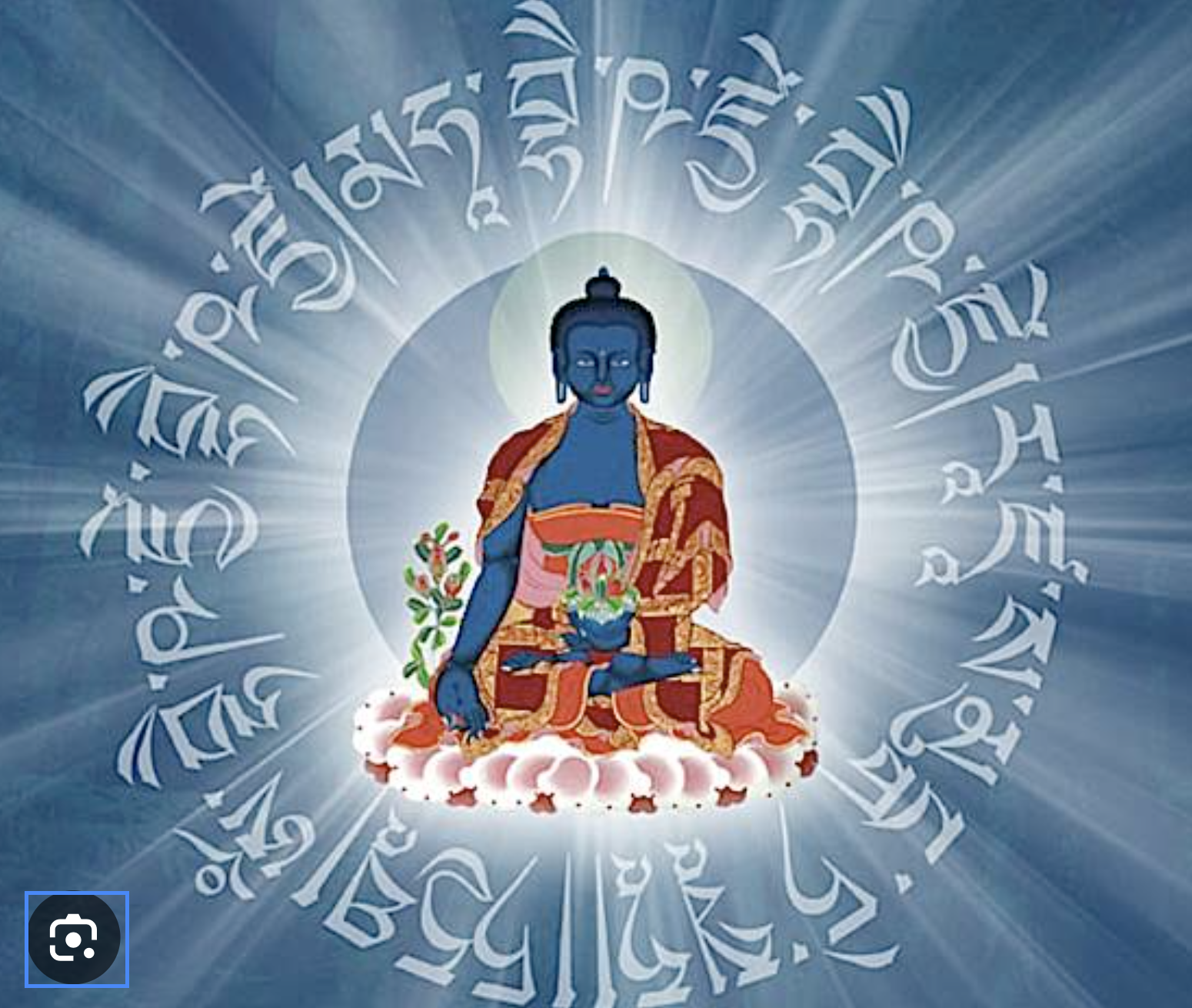 MEDITATION "SHAKYAS DE LA MALADIE