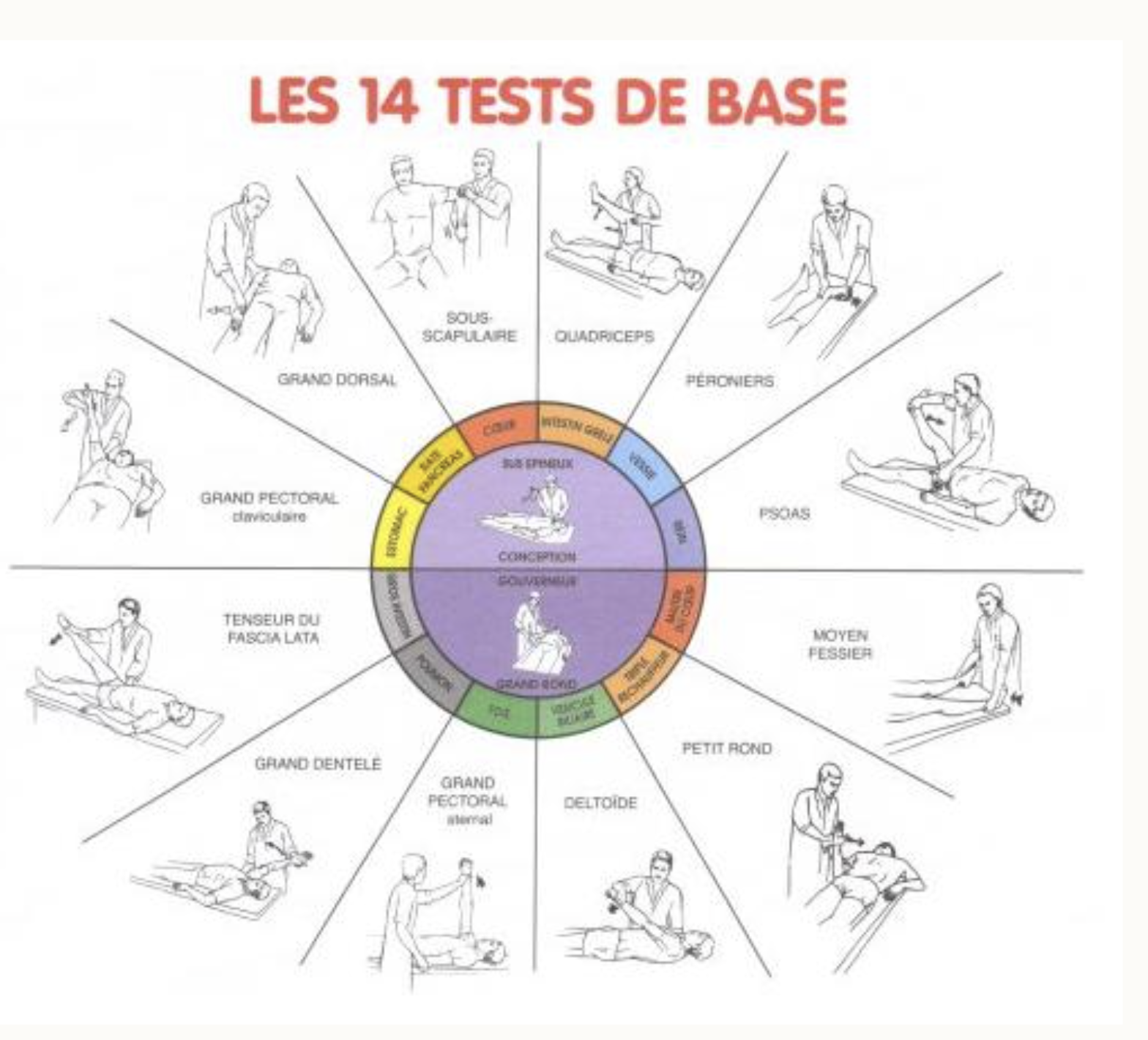 Christine Tiraboschi Kinésiologie test
